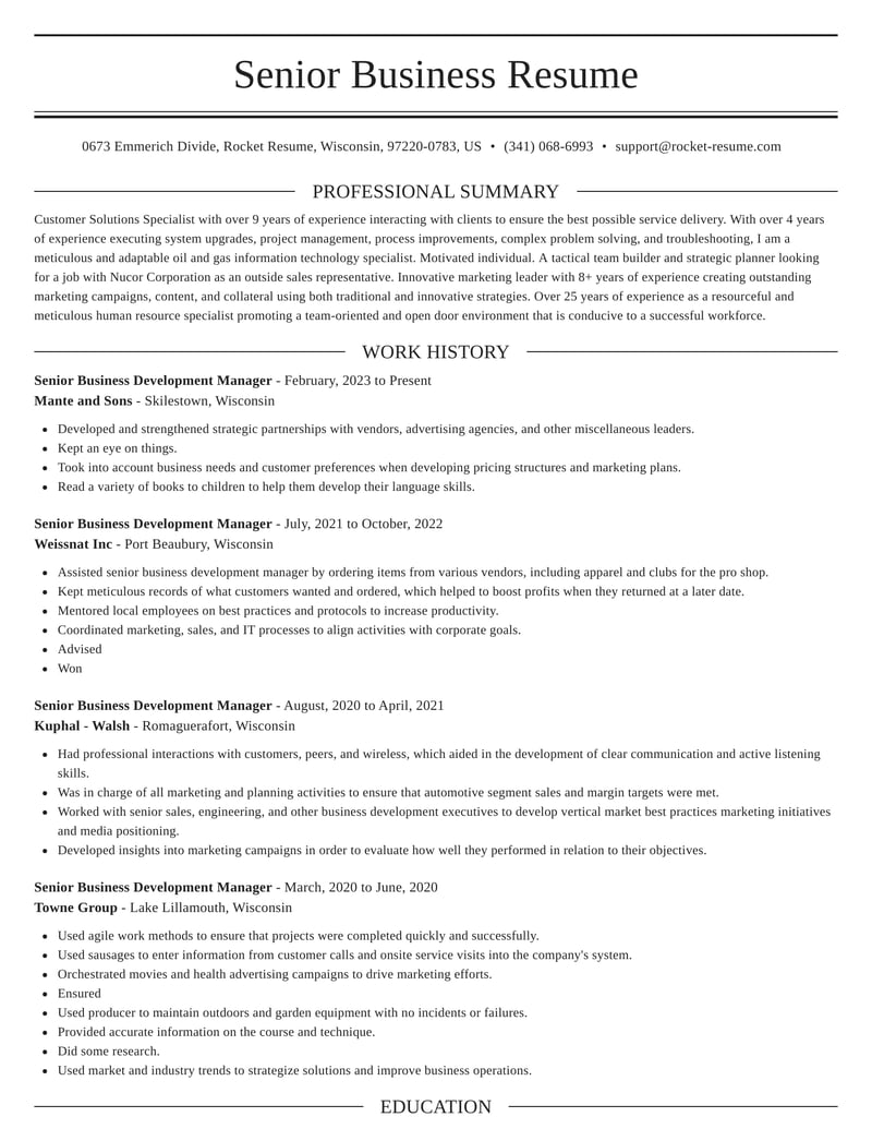 Senior Business Development Manager Resume Templates Examples Rocket Resume