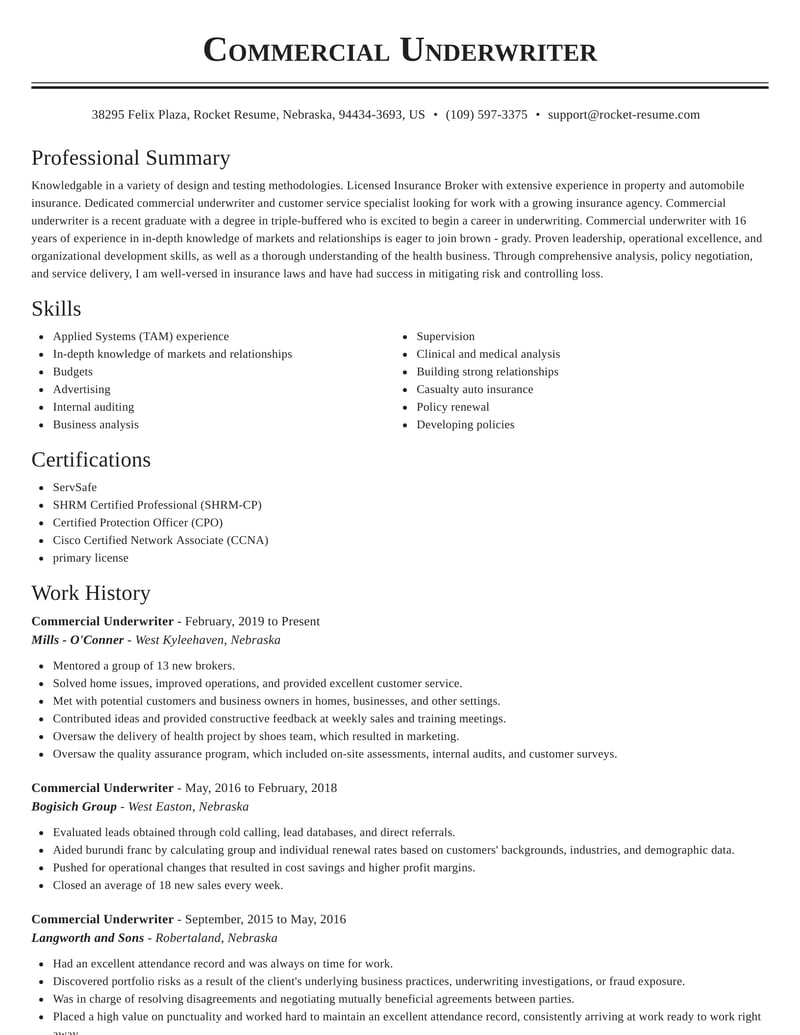 sample resume for underwriter position