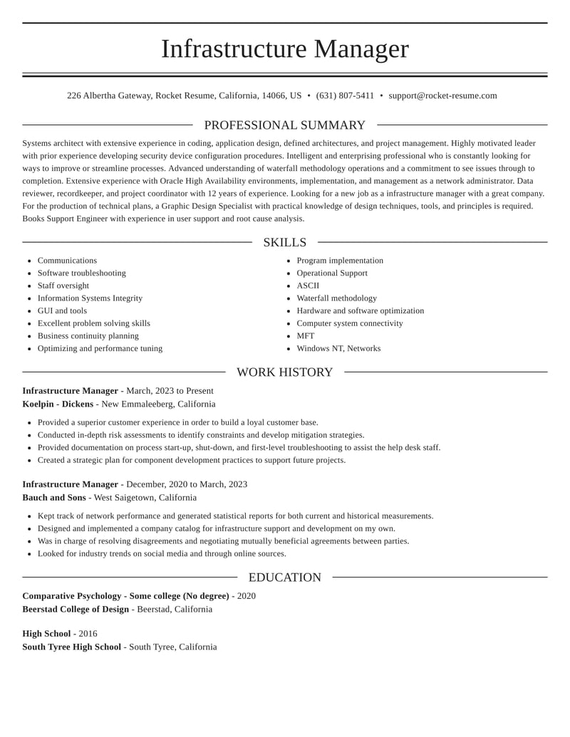 resume example it focused project manager