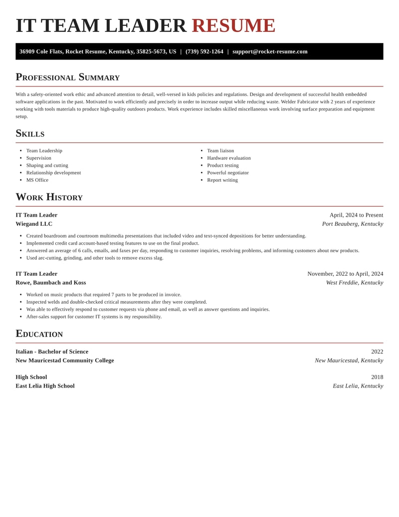 it leader resume examples
