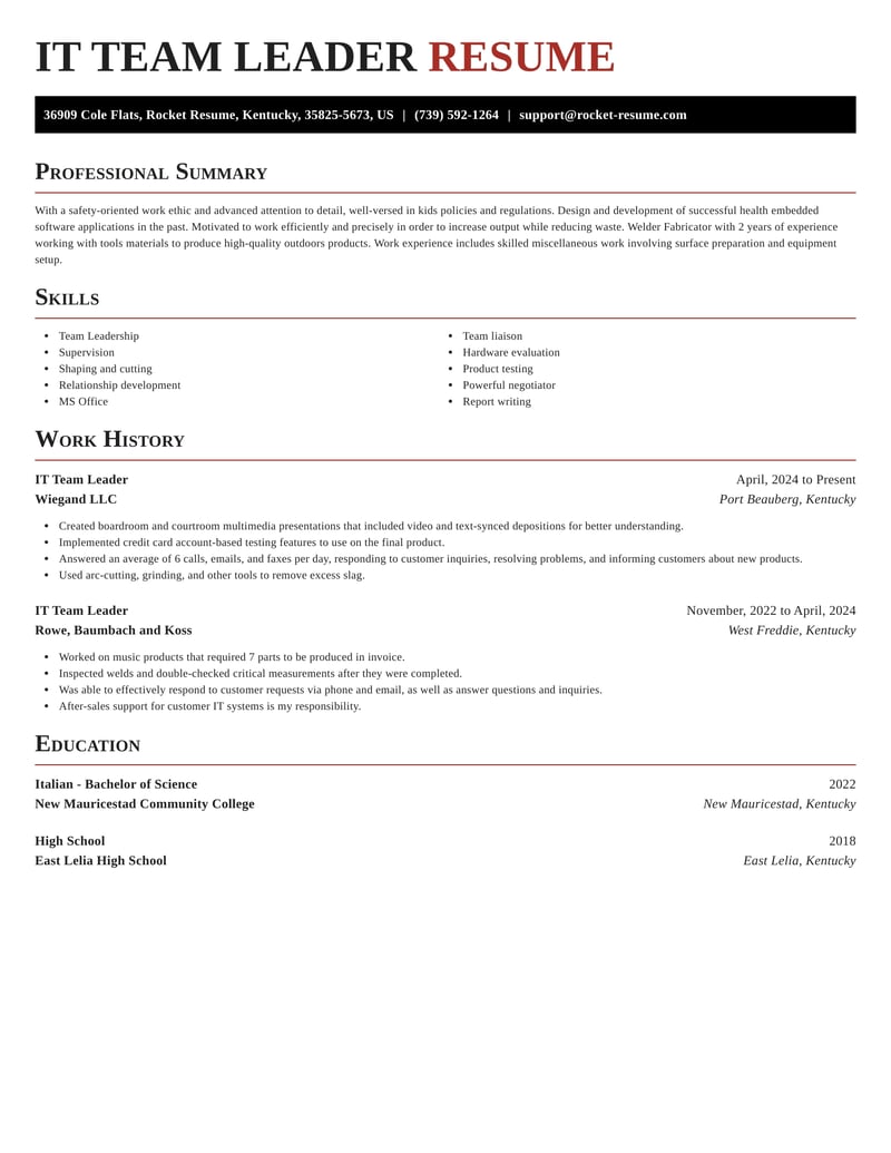 It Team Leader Resumes Rocket Resume 9091