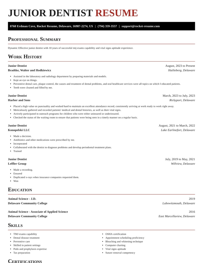 Junior Dentist Resumes Rocket Resume