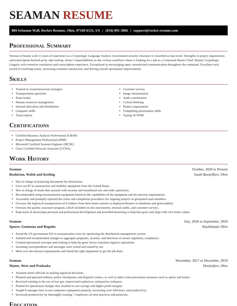 blank resume format for seaman