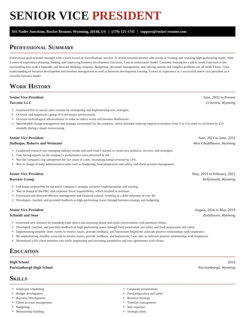 resume format for vp level