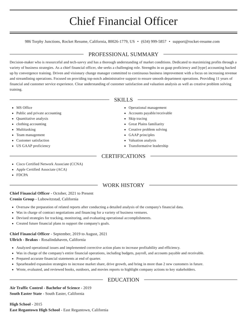 Chief Financial Officer Resume Creator Sections Rocket Resume