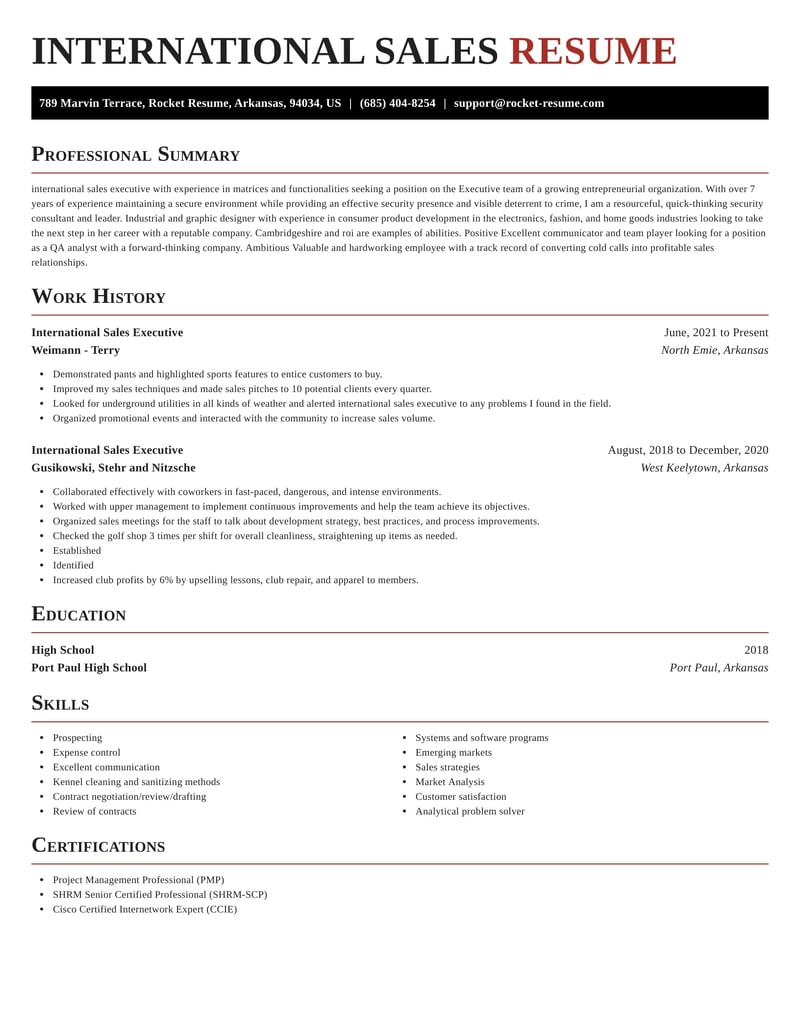 International Sales Executive Resume Download Ideas Rocket Resume