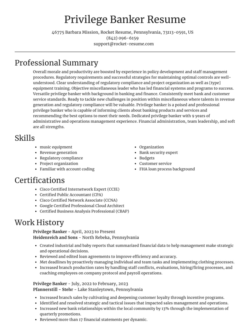 Privilege Banker Resume Generator Ideas Rocket Resume