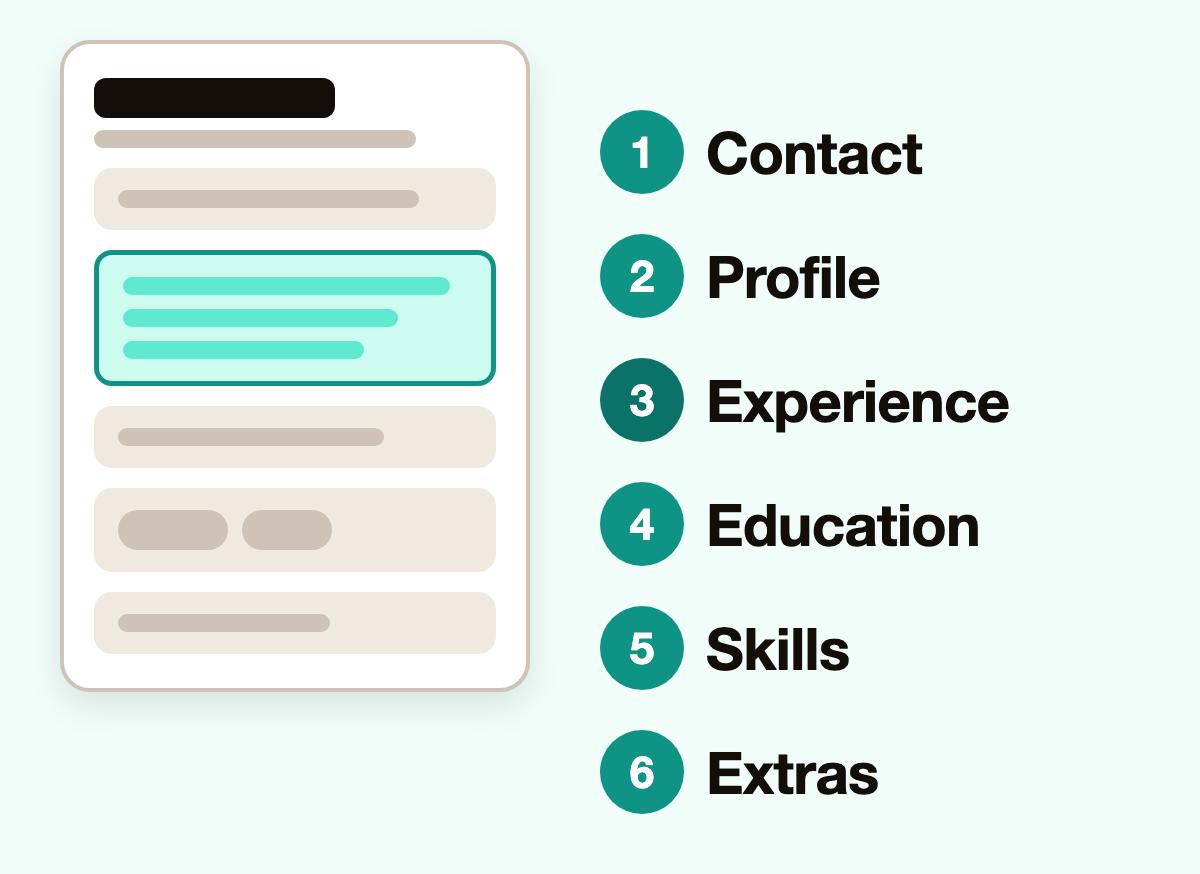 A CV outline beside its six usual parts in order: contact, profile, experience, education, skills and extras.