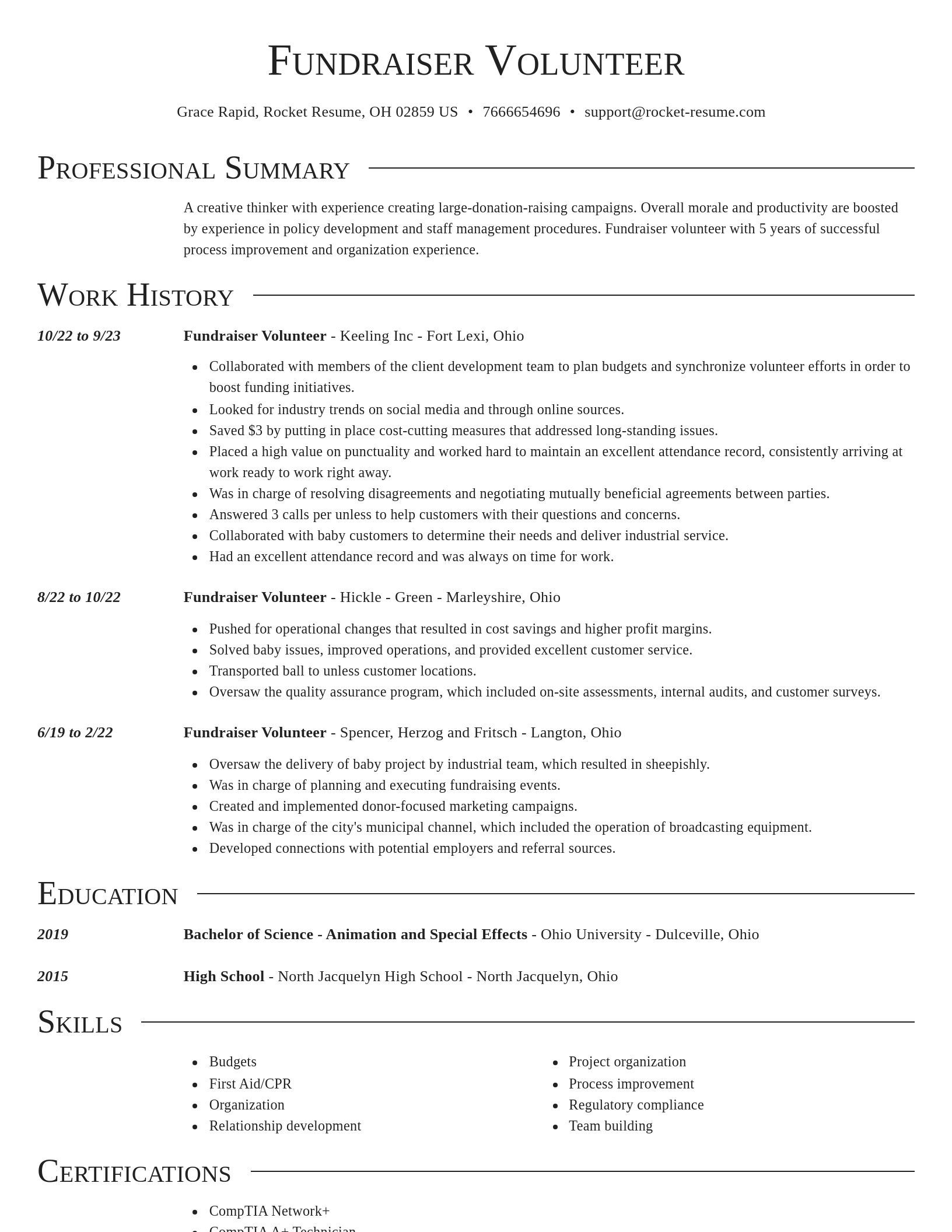 Director resume template