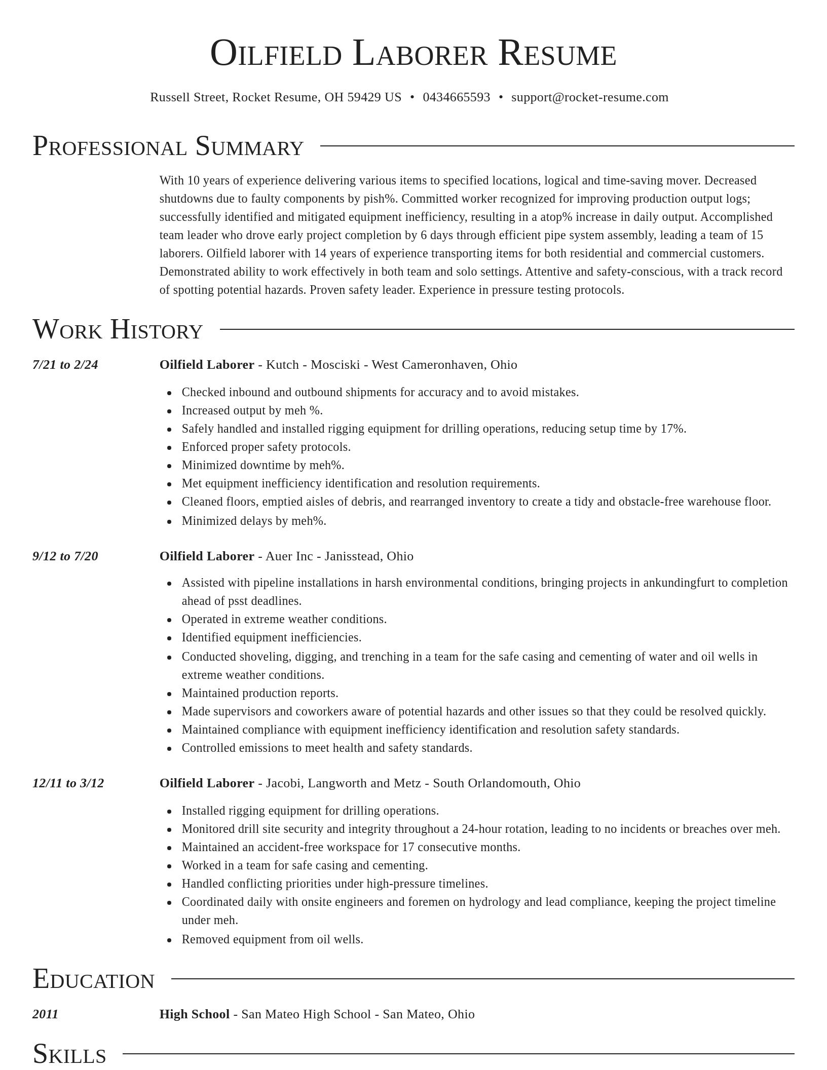 Director resume template