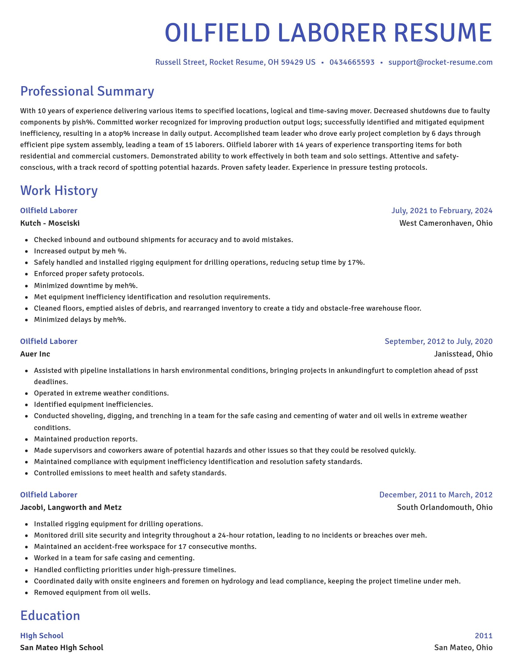Novel resume template