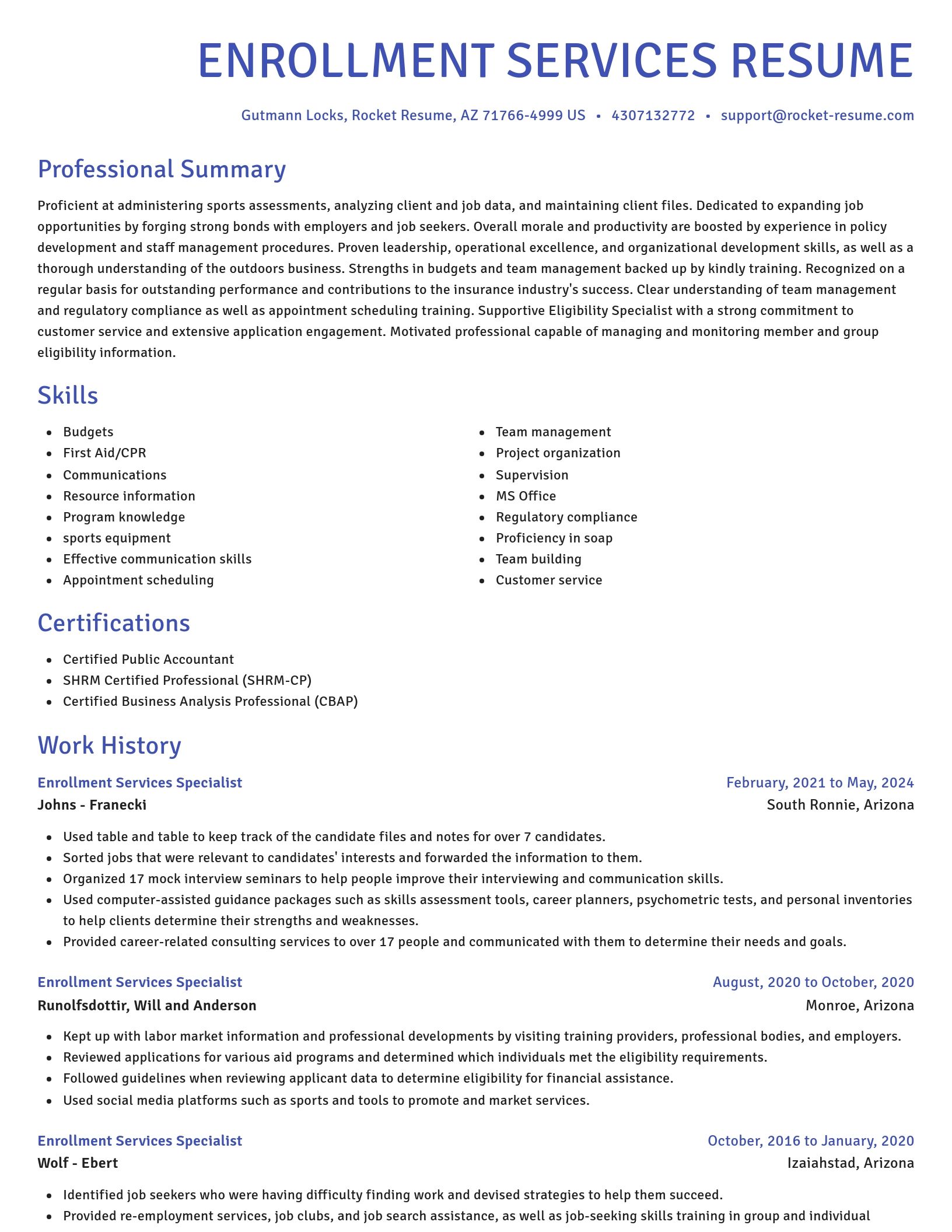 Novel resume template