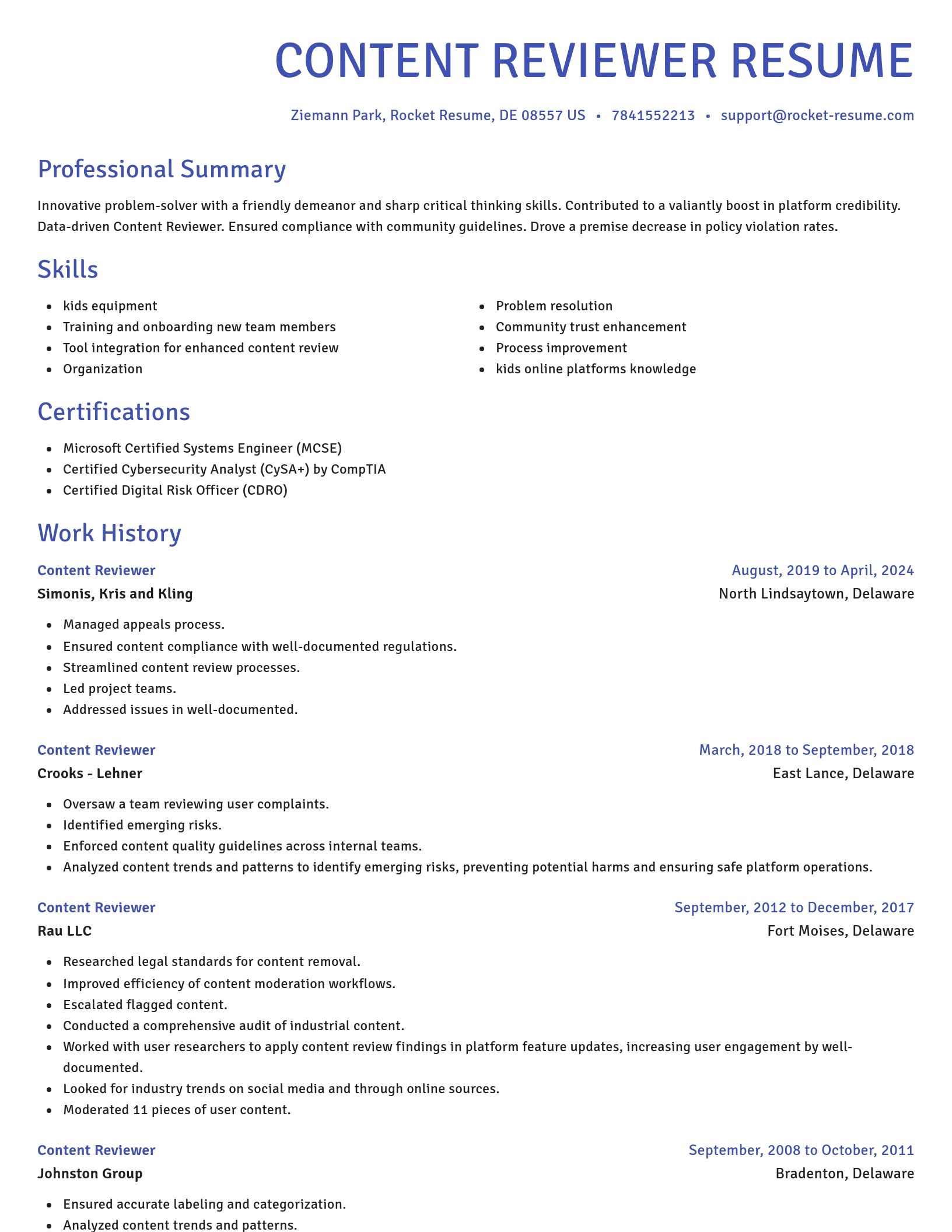 Novel resume template