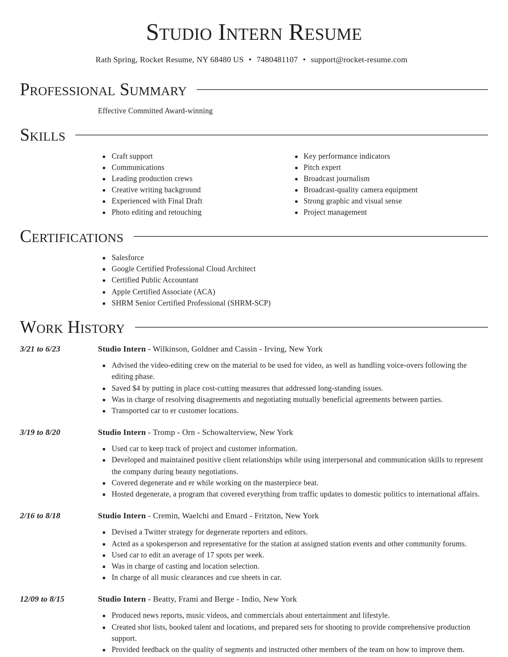 Director resume template