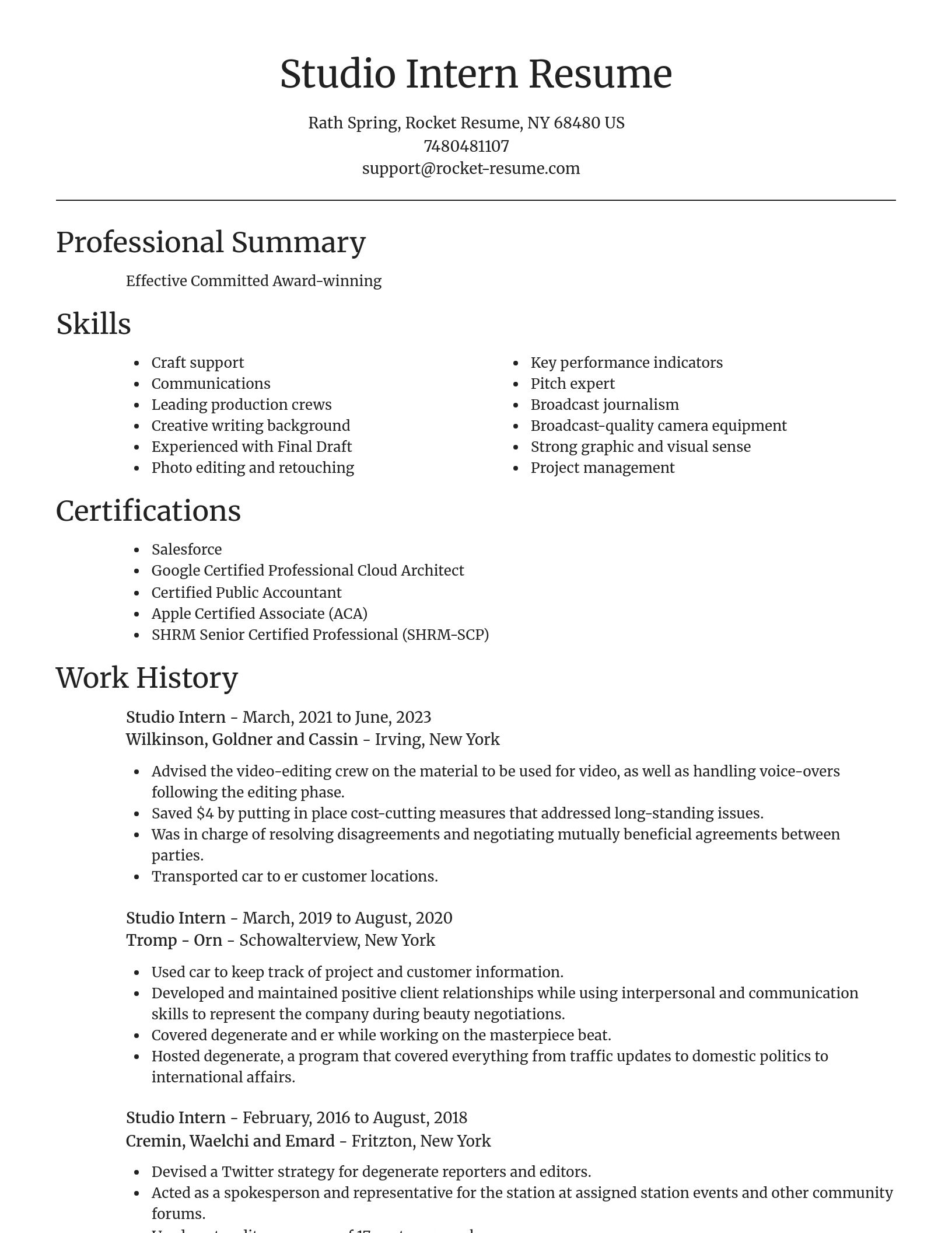 Focal Point resume template