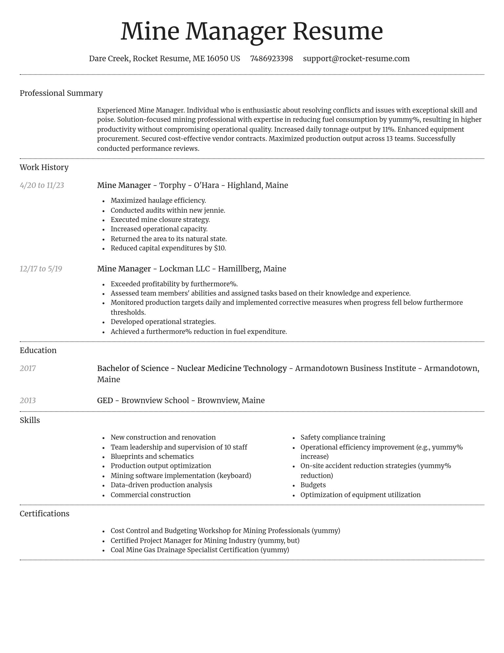 Dignified resume template