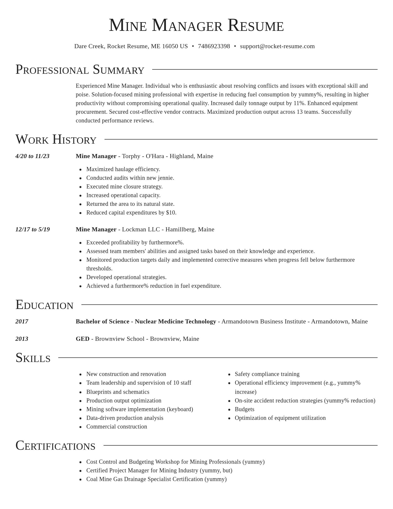 Director resume template