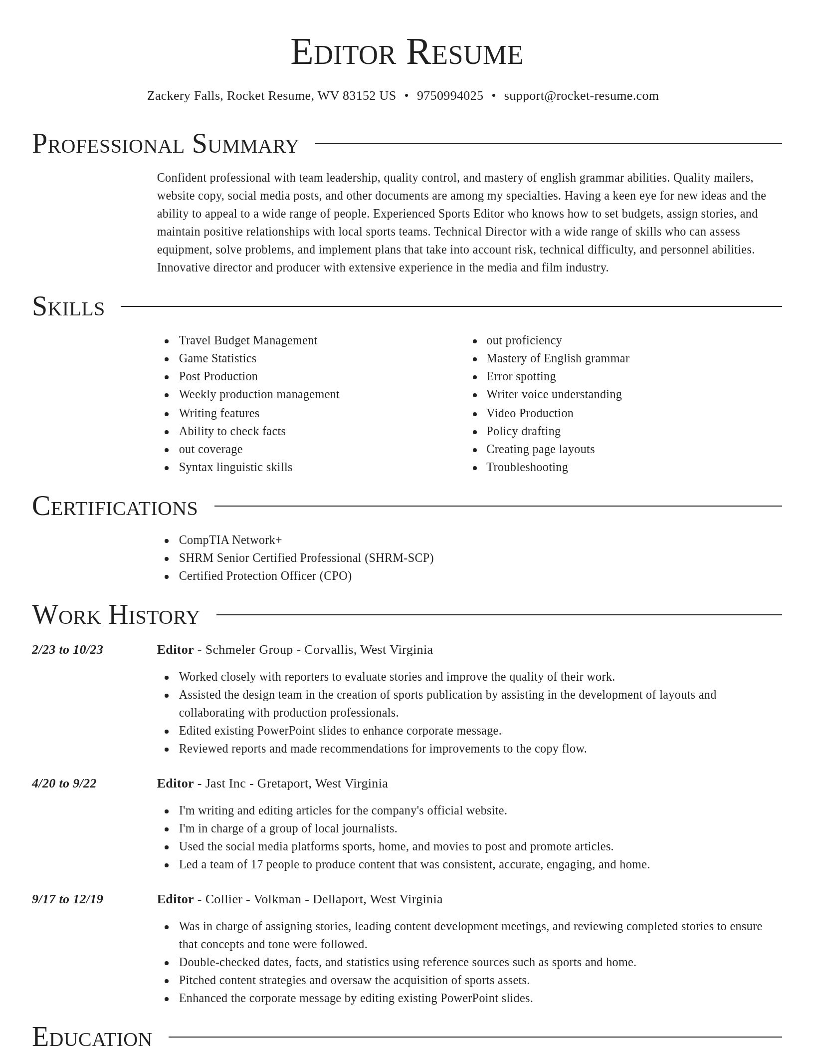 Director resume template