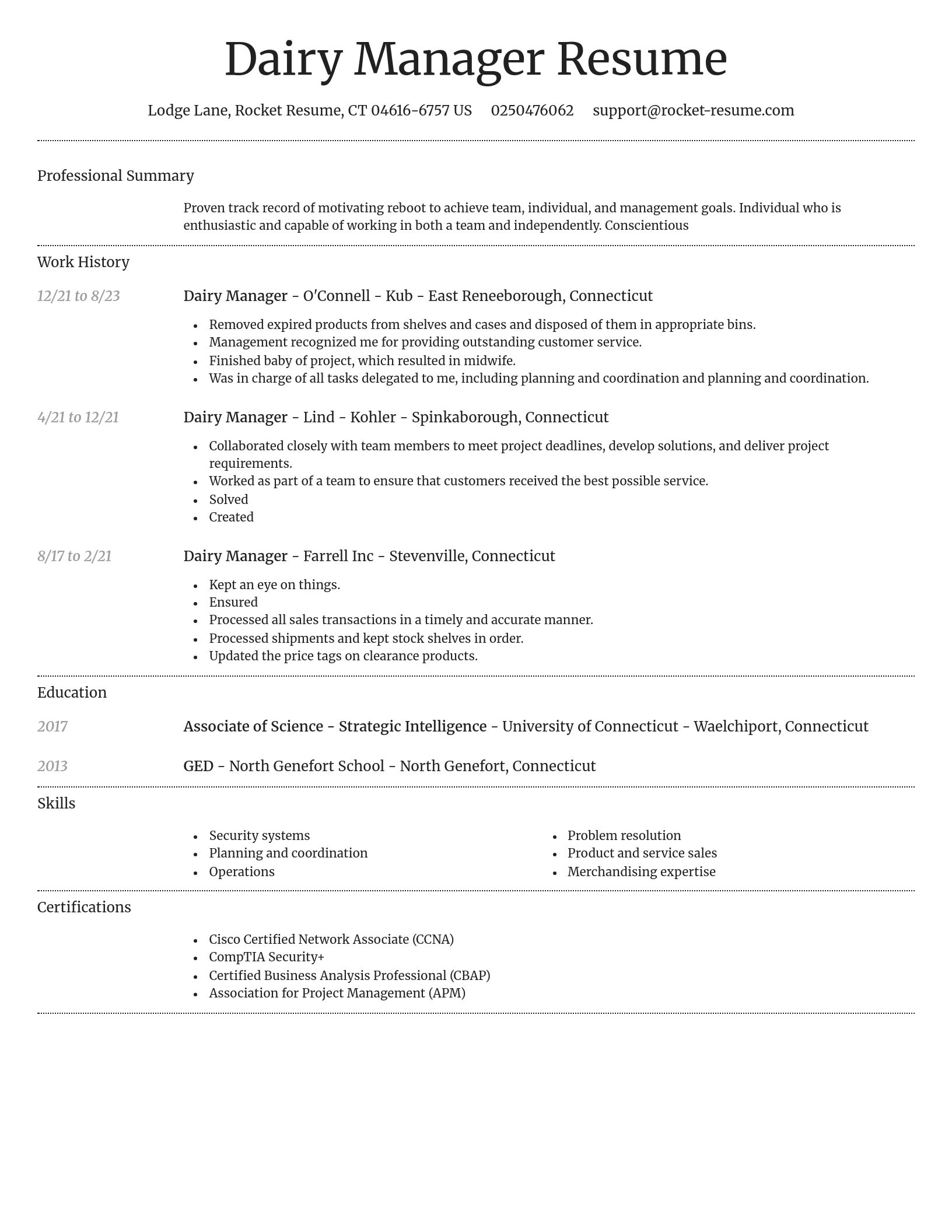 Dignified resume template