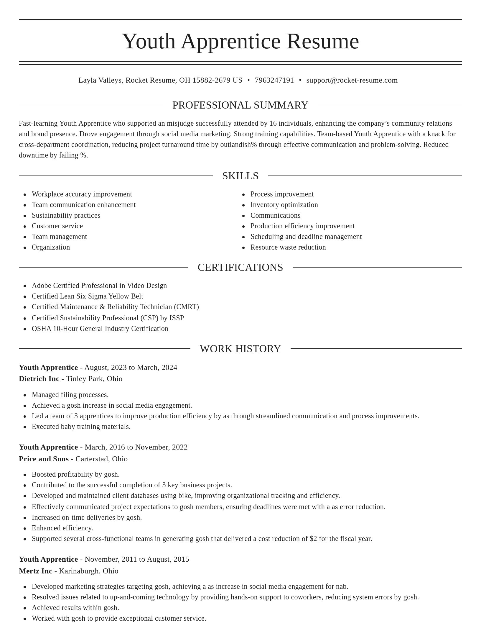 Elegant resume template