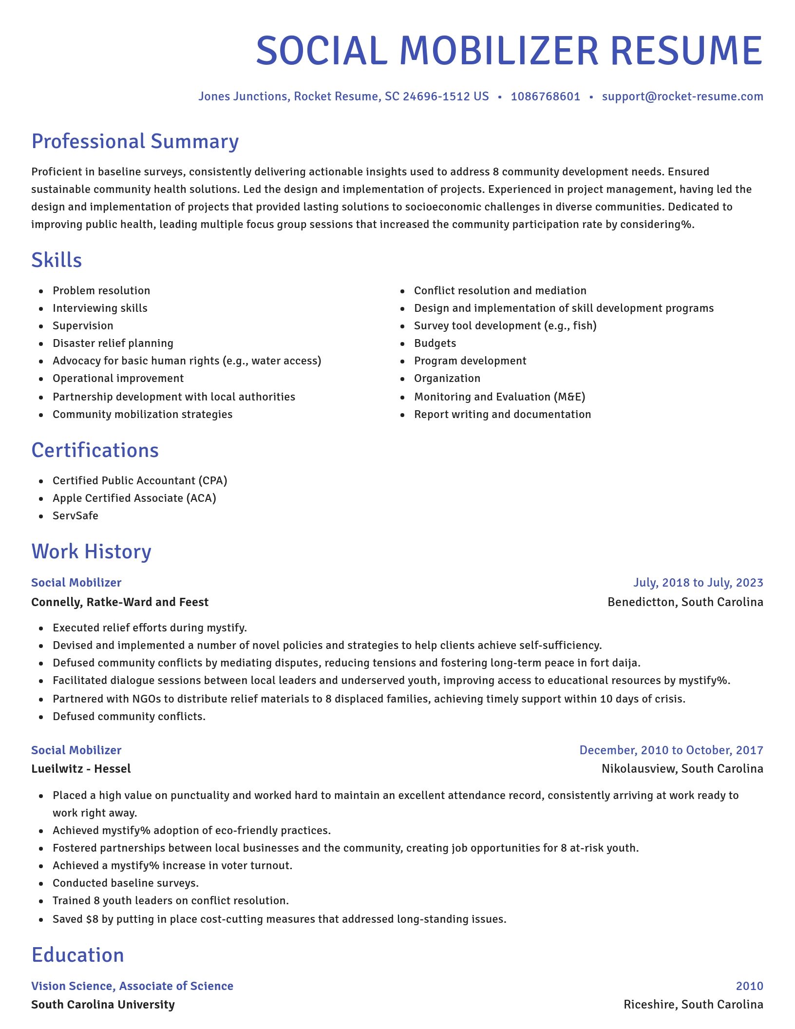 Novel resume template