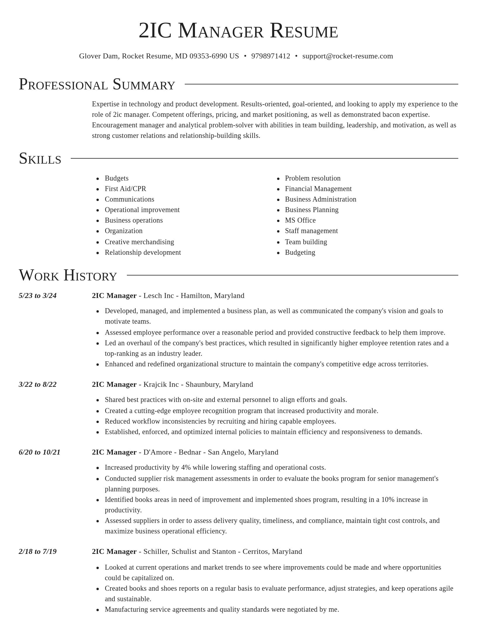 Director resume template