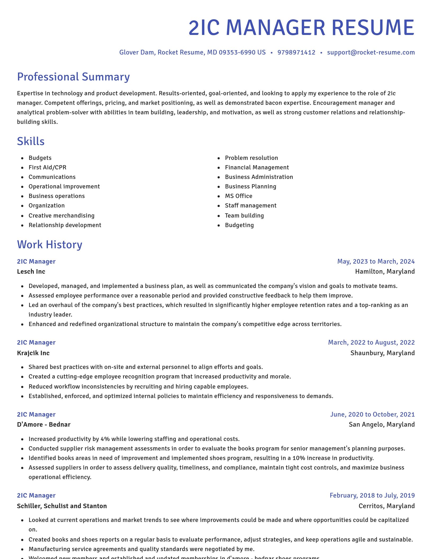 Novel resume template
