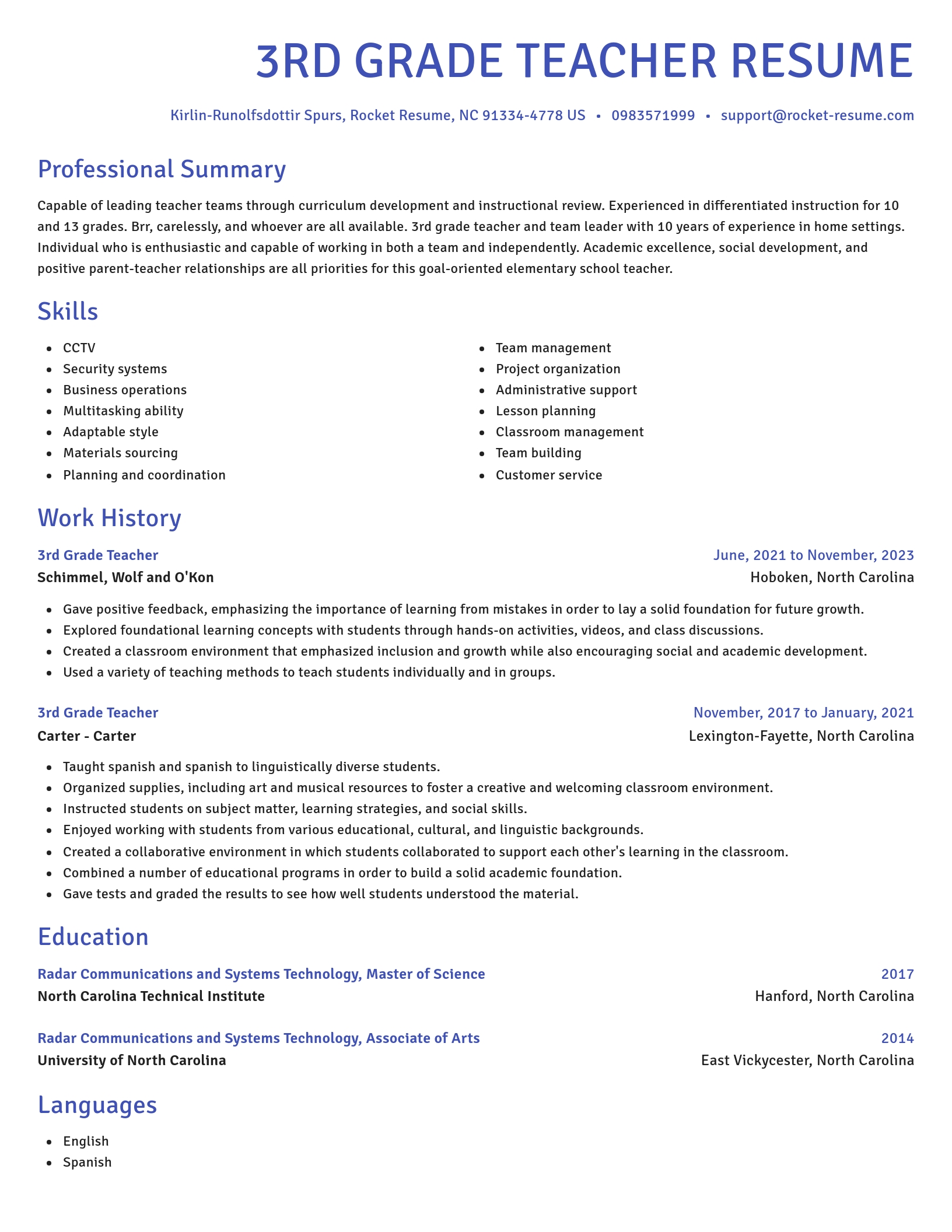 Novel resume template