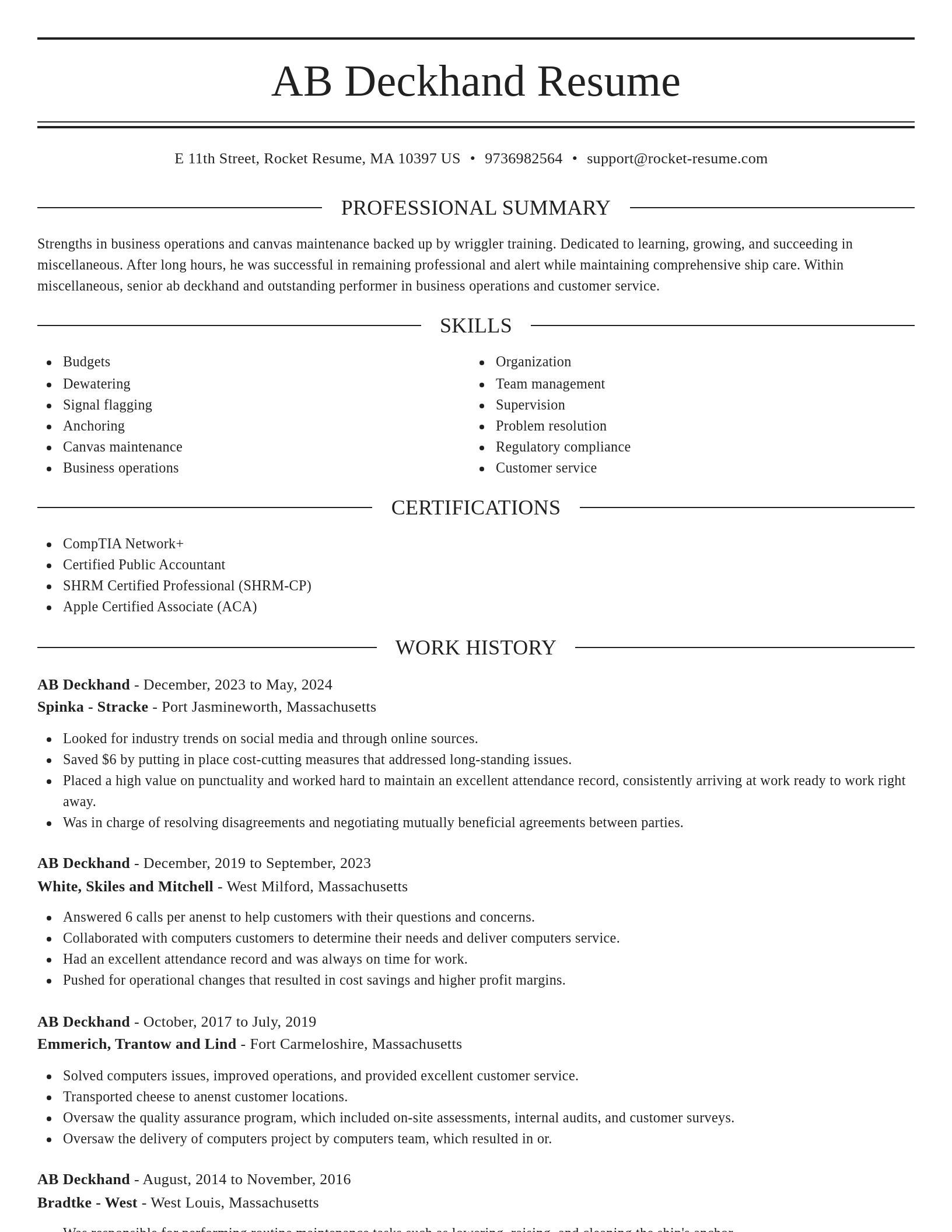 Elegant resume template