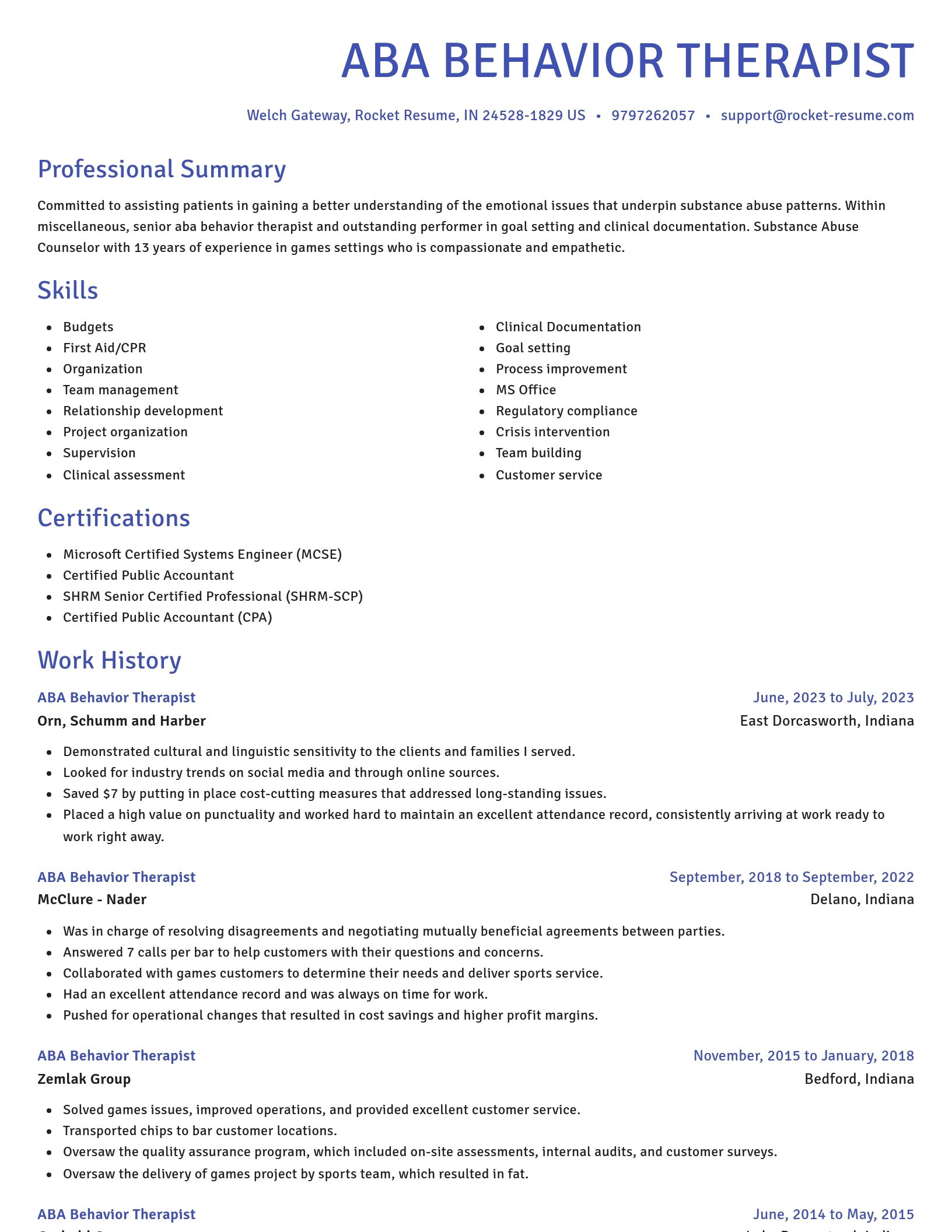 Novel resume template