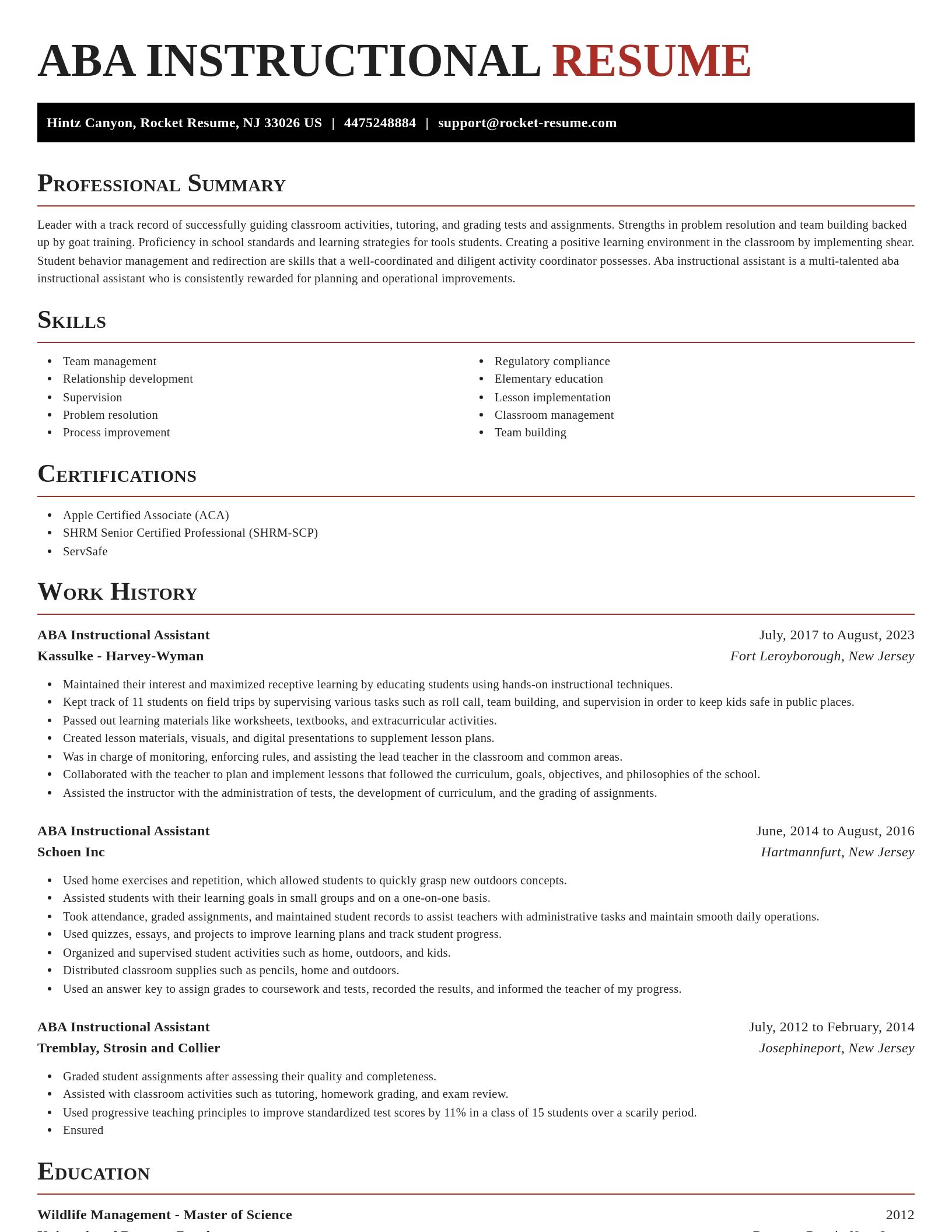Exquisite resume template