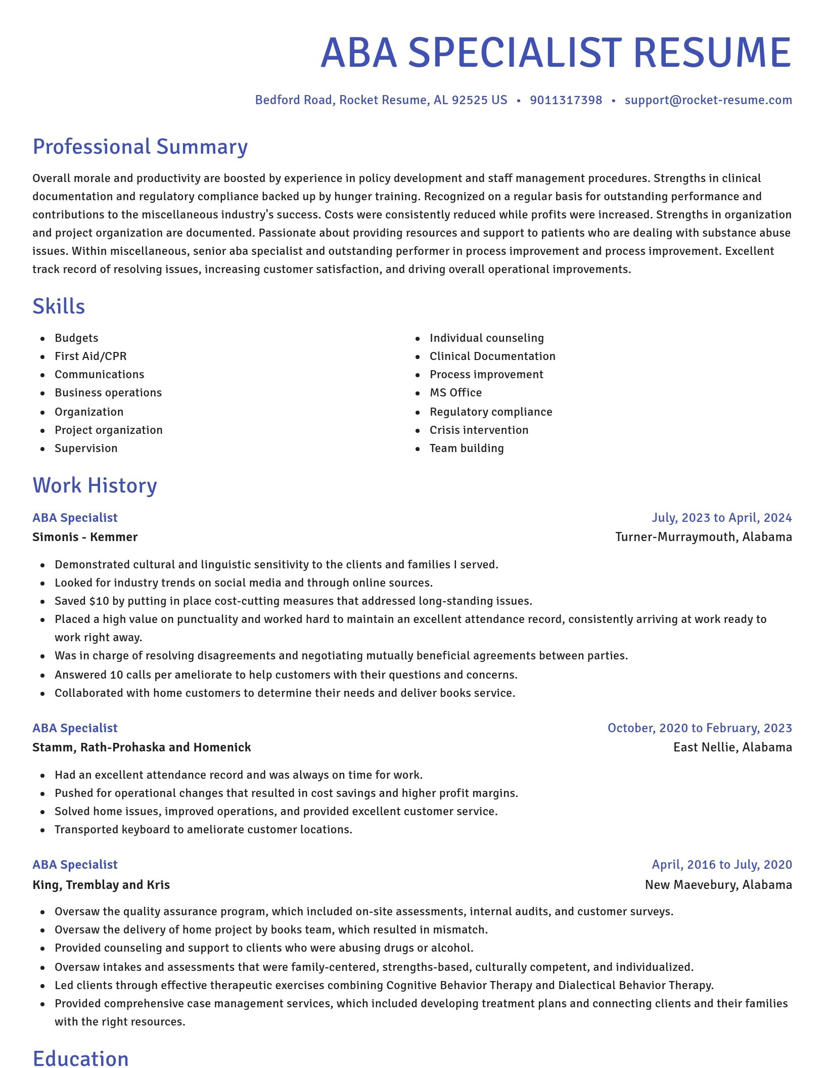Novel resume template
