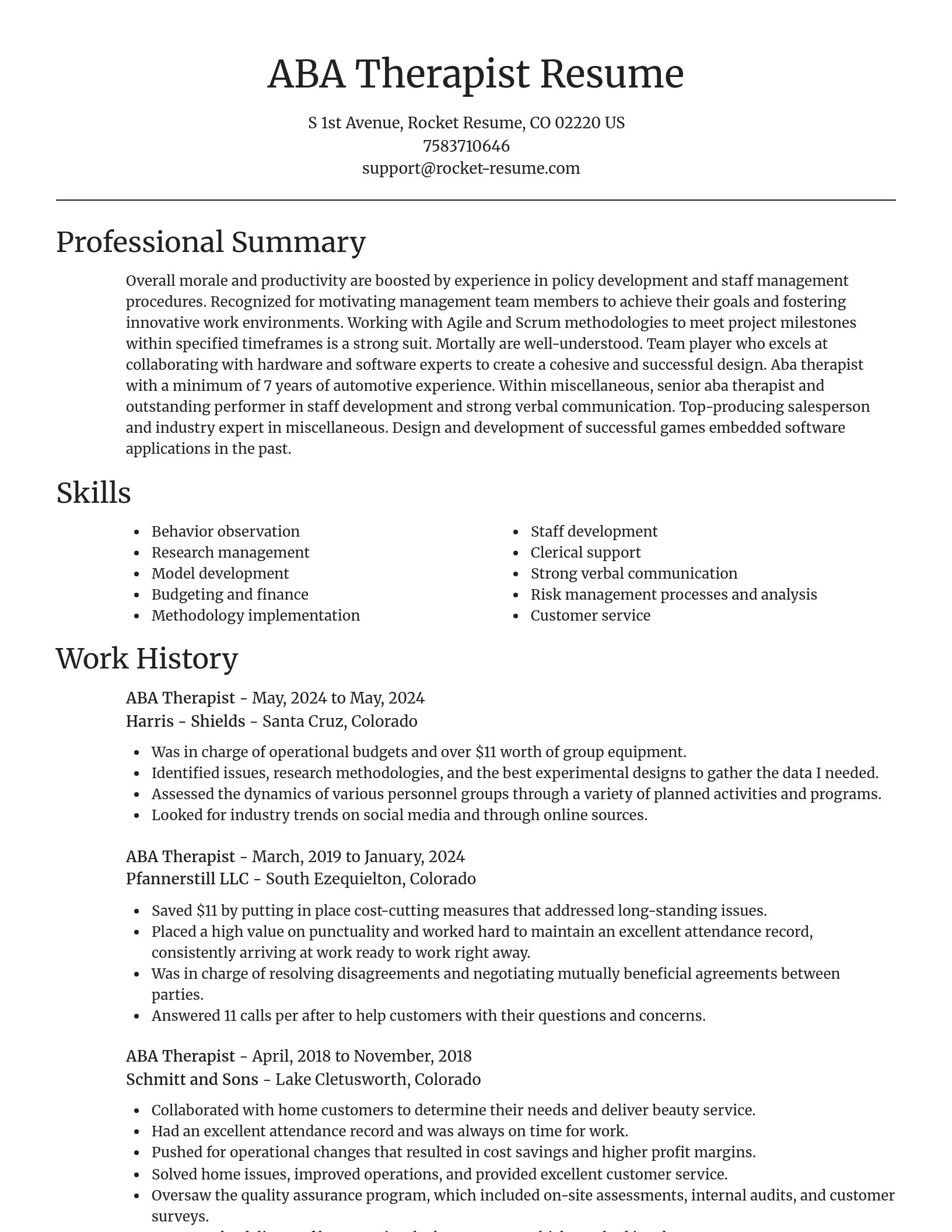 Focal Point resume template