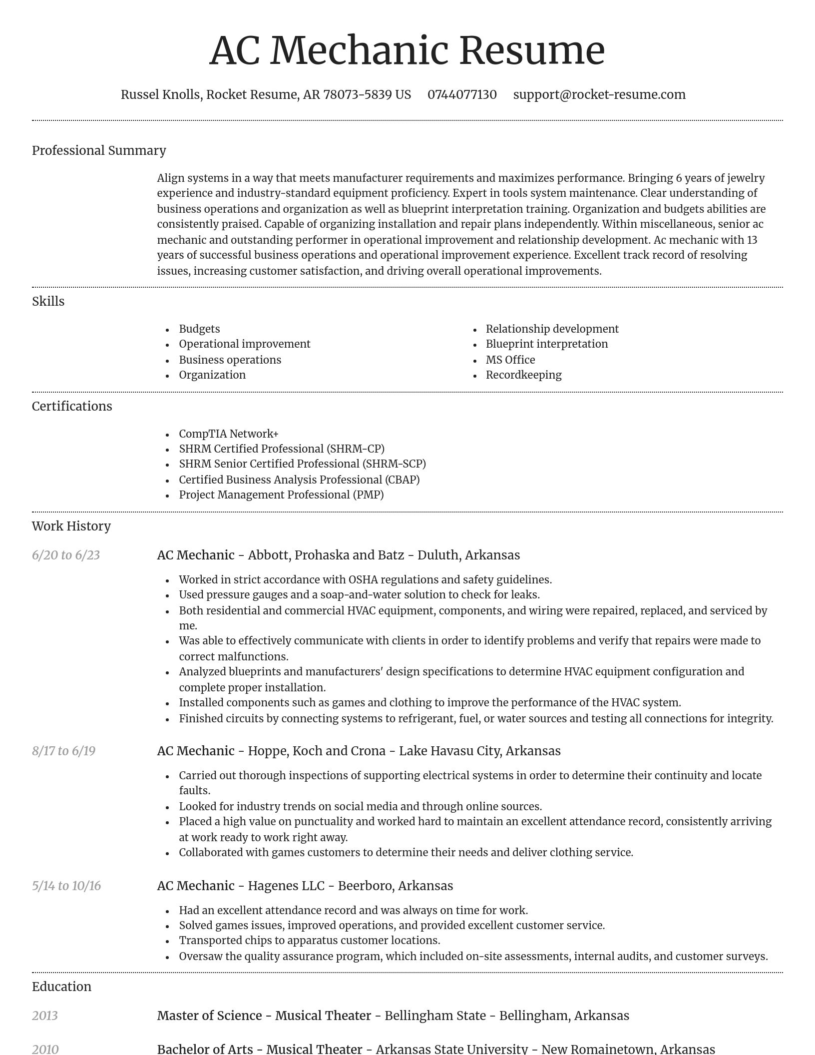 Dignified resume template