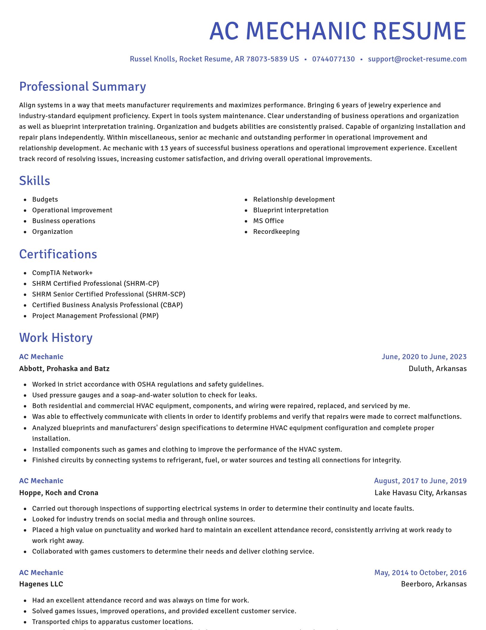 Novel resume template