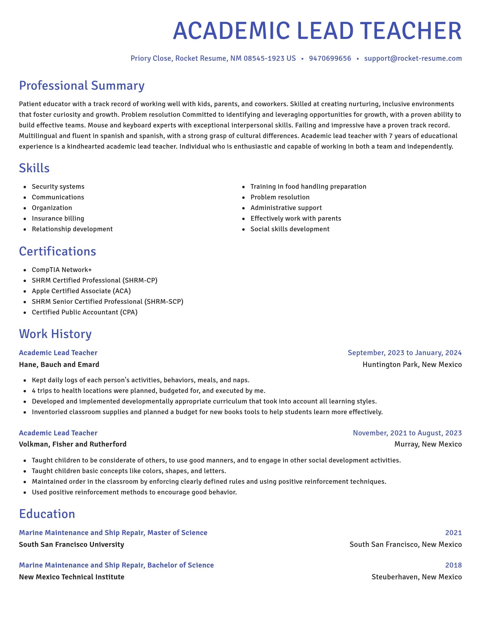 Novel resume template