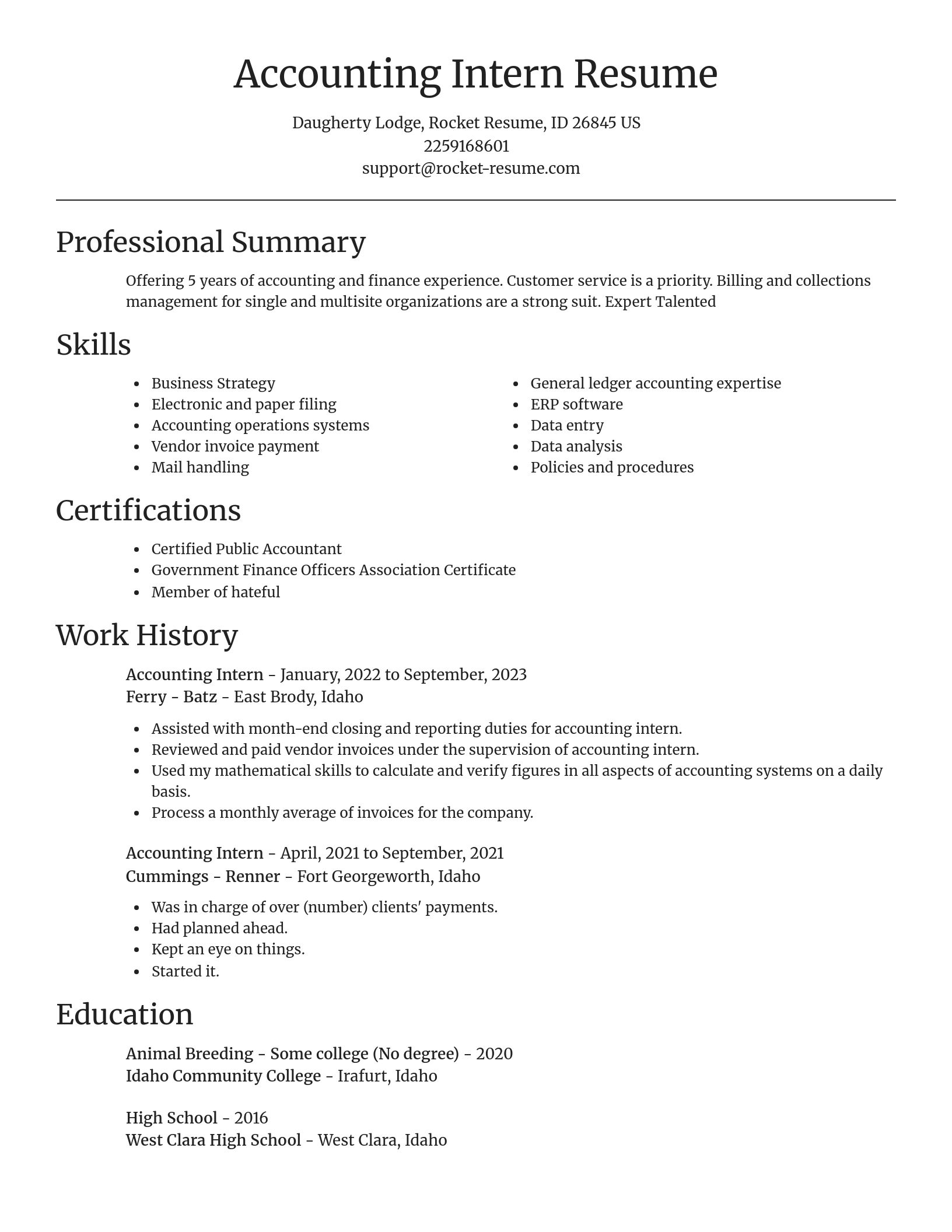 Focal Point resume template