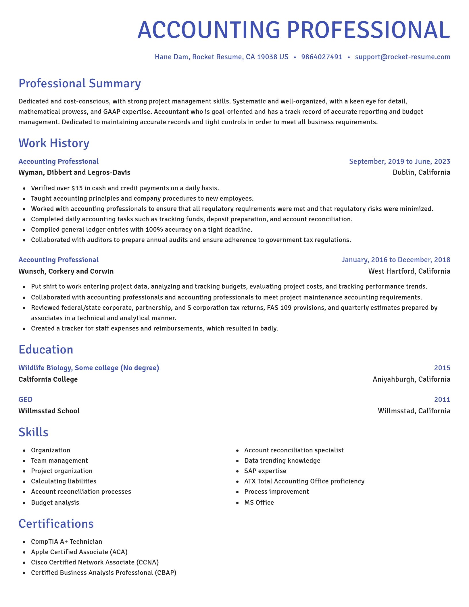 Novel resume template