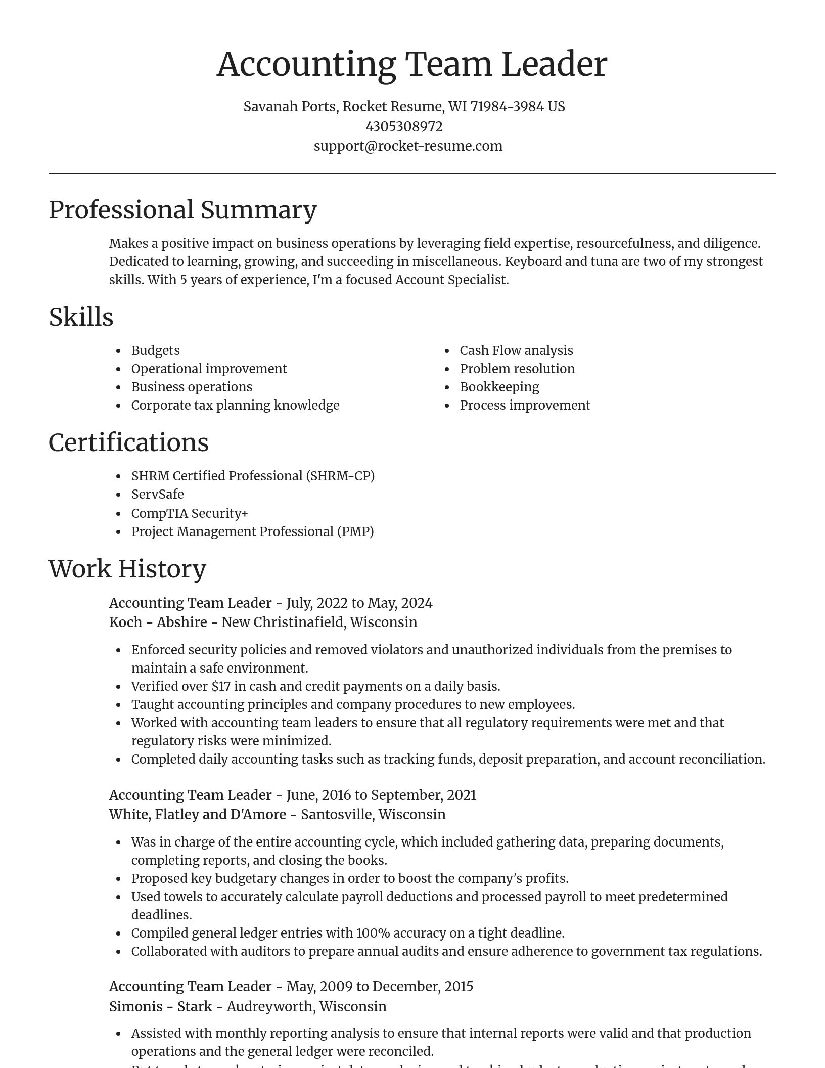 Focal Point resume template
