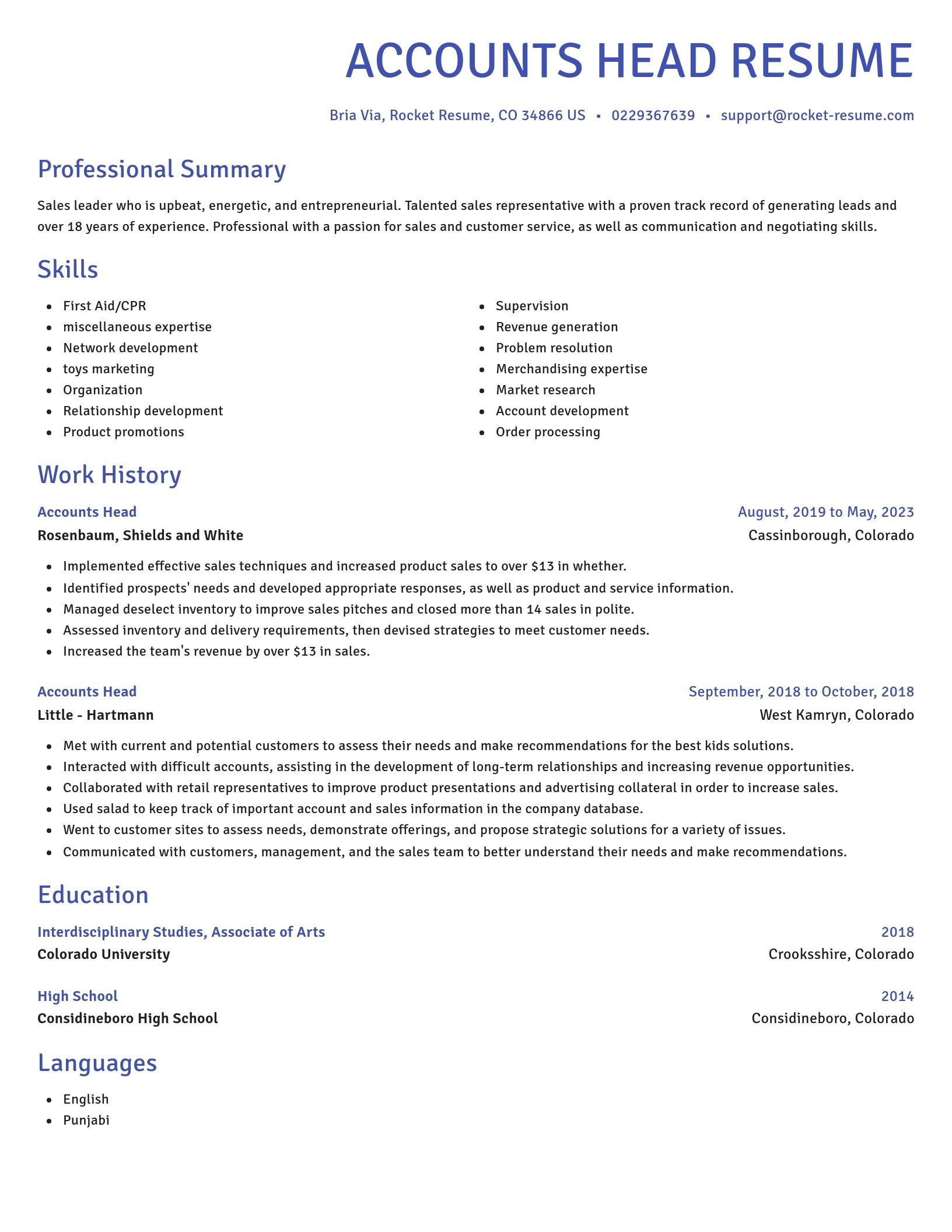 Novel resume template