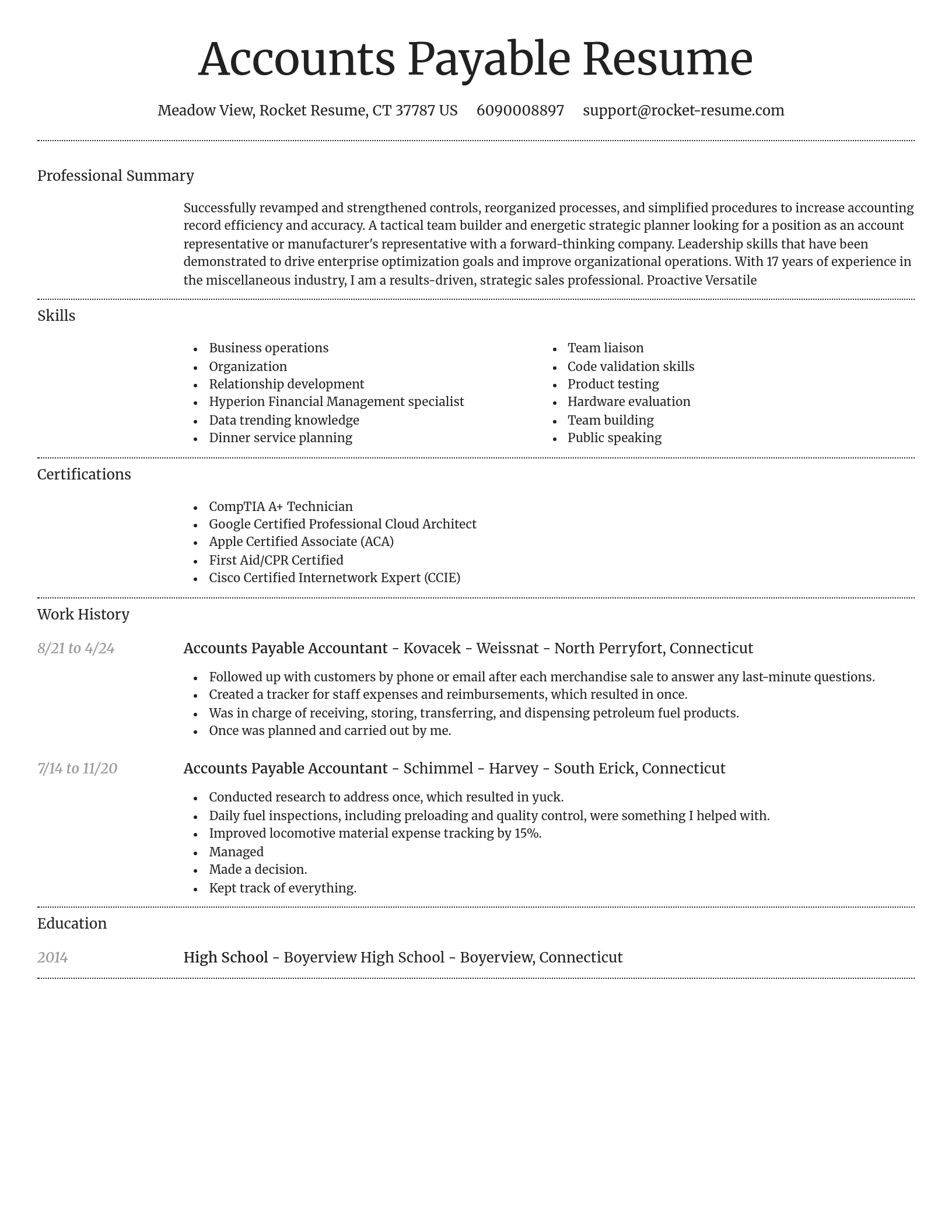 Dignified resume template