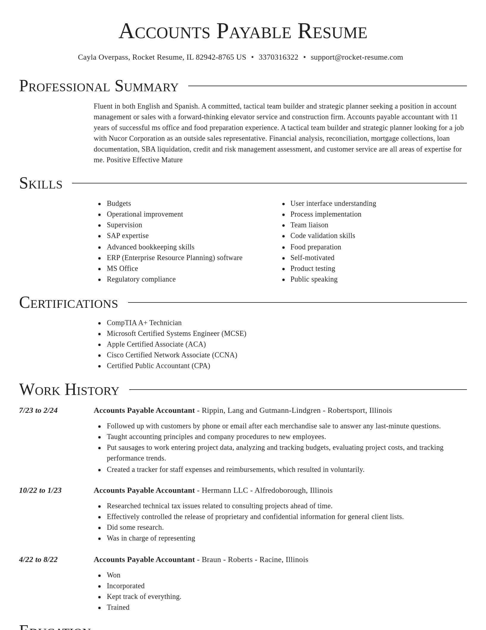 Director resume template