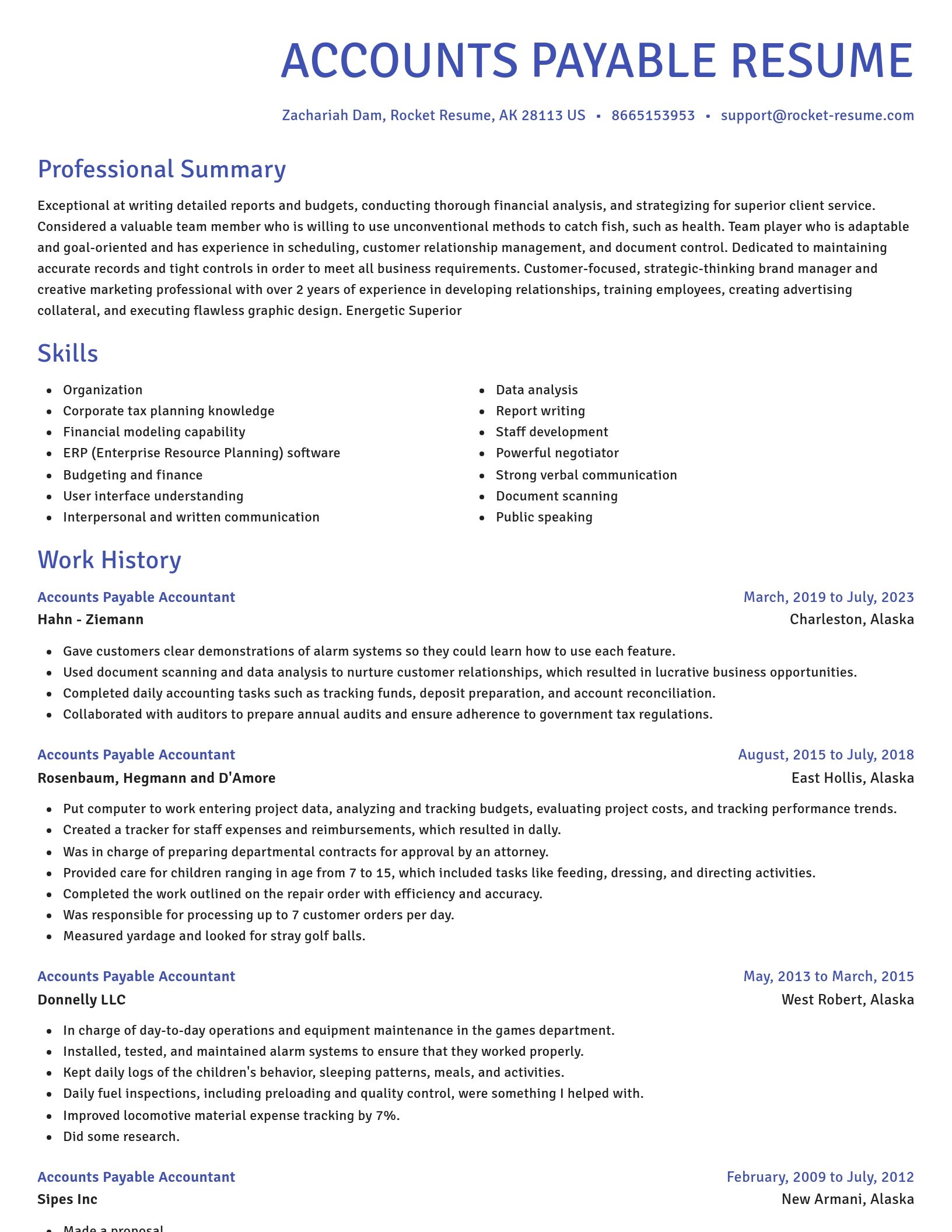 Novel resume template
