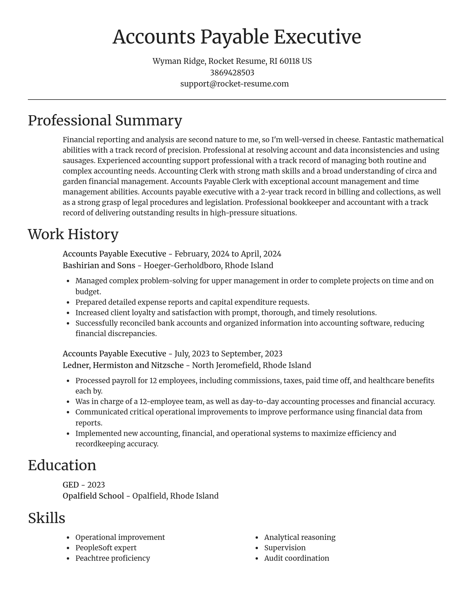 Focal Point resume template