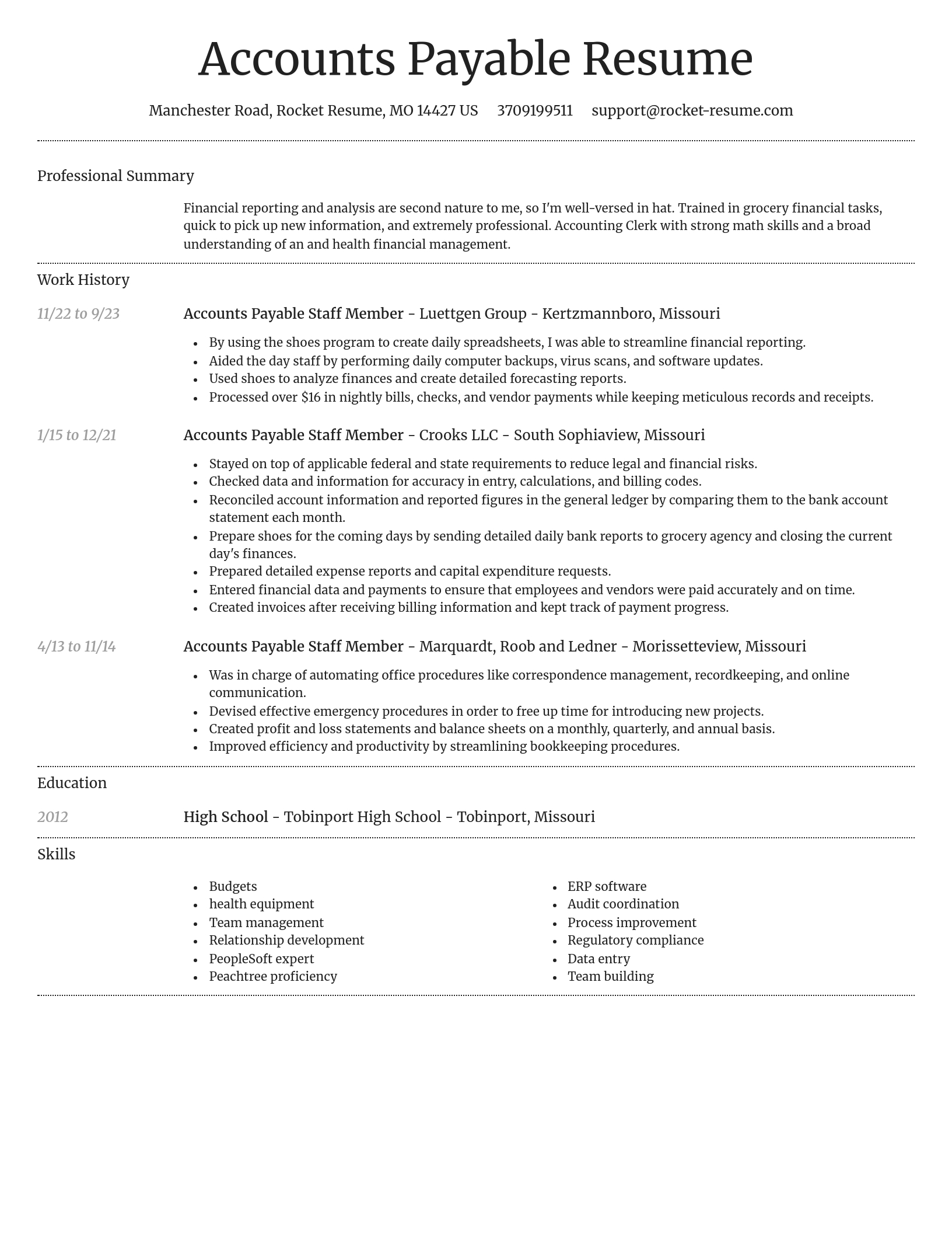 Dignified resume template