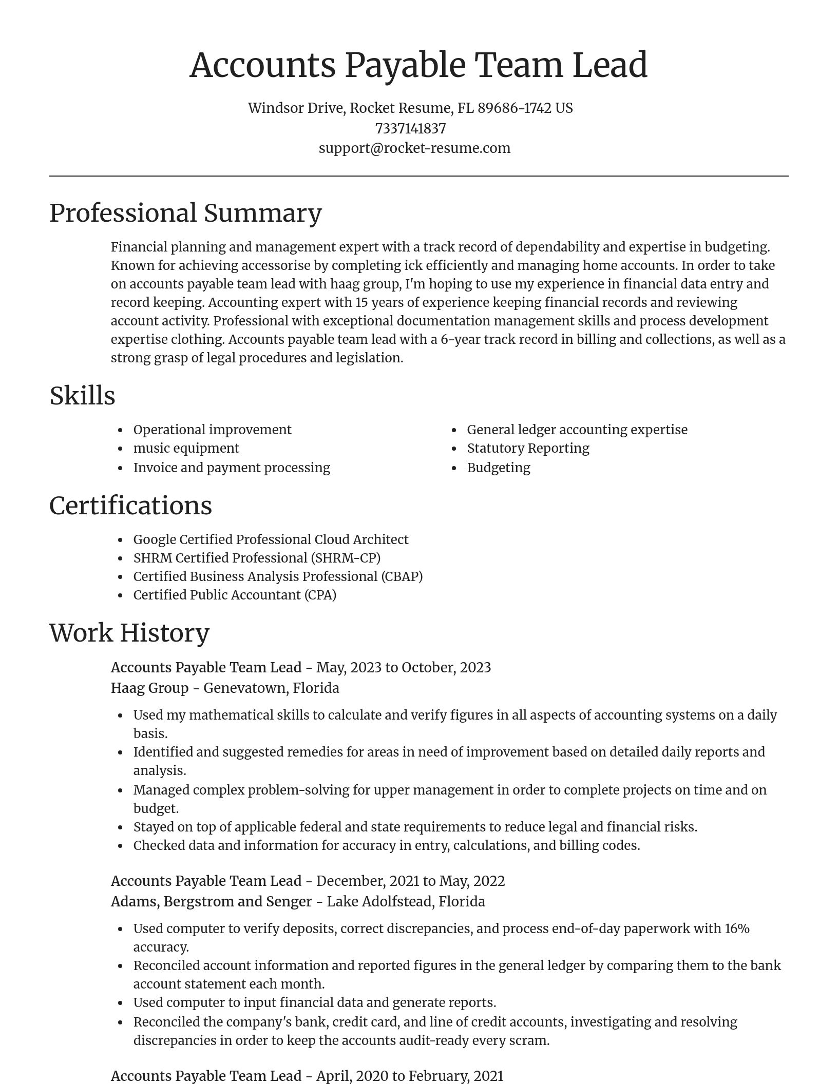 Focal Point resume template