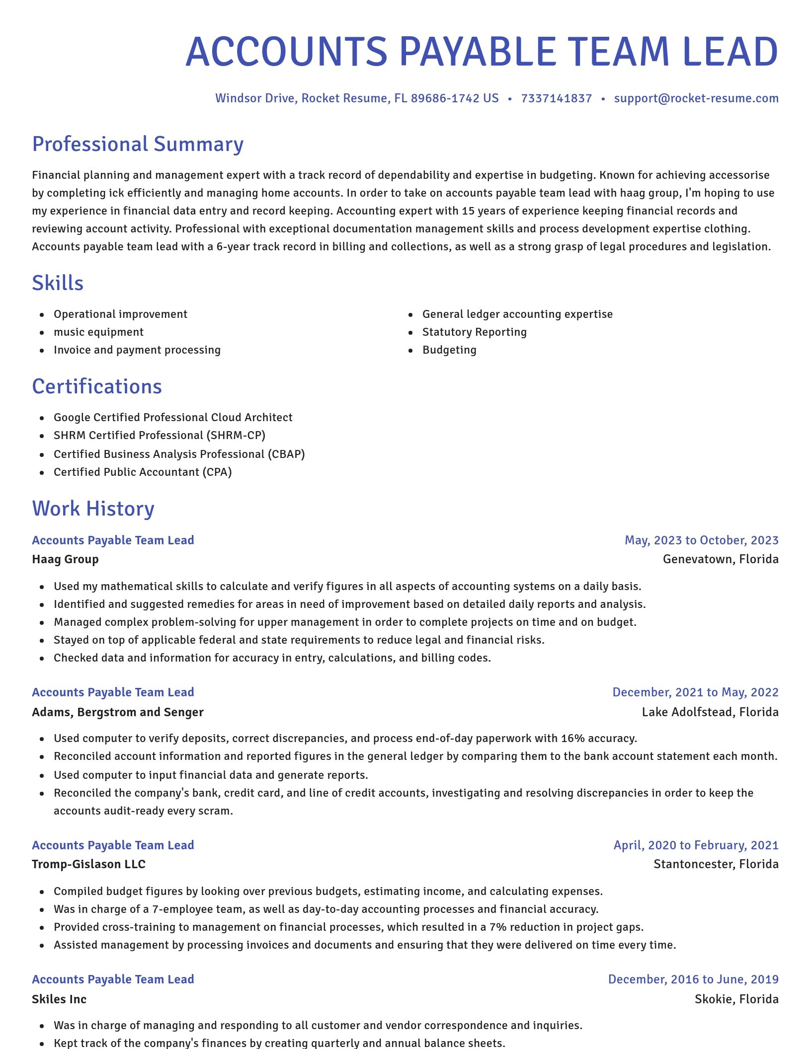 Novel resume template