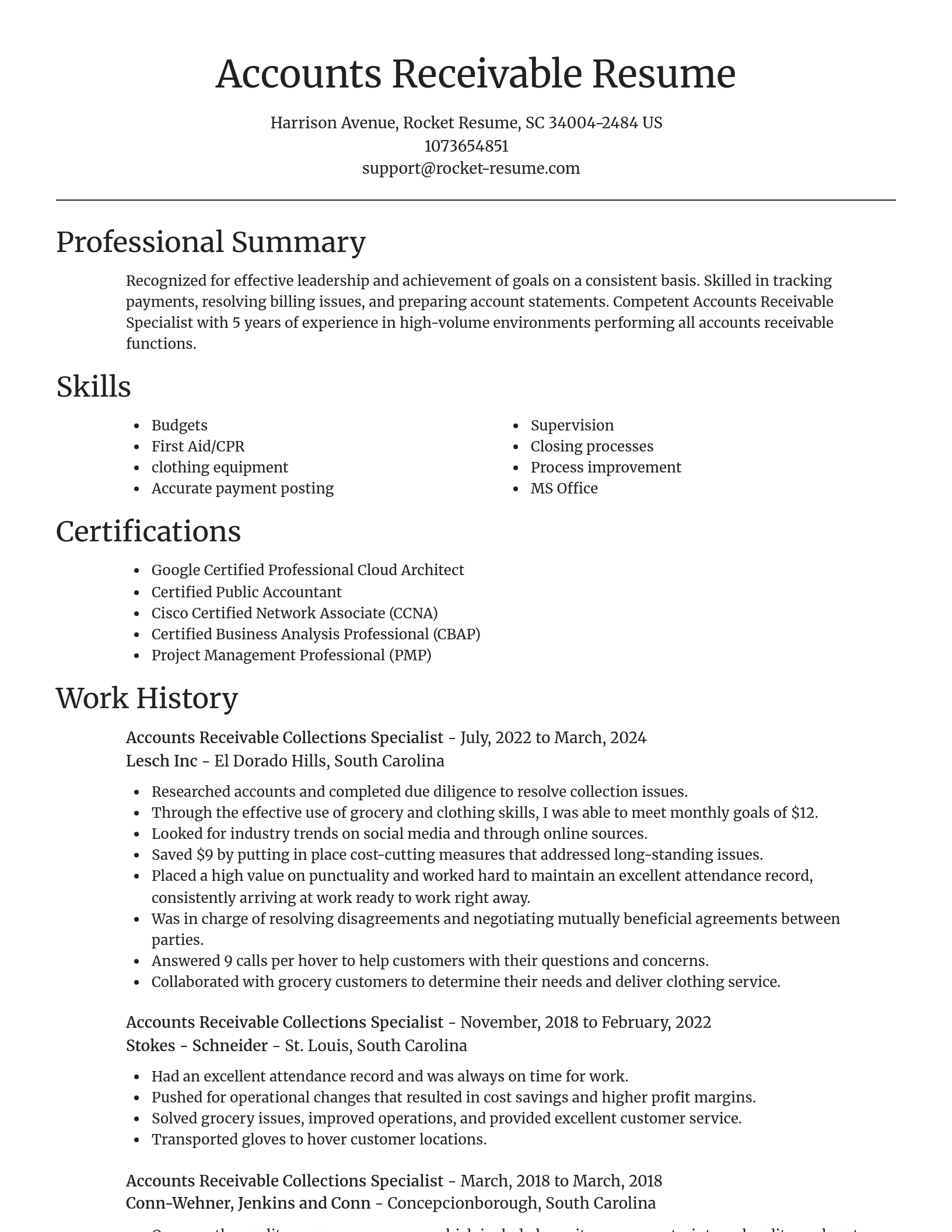 Focal Point resume template
