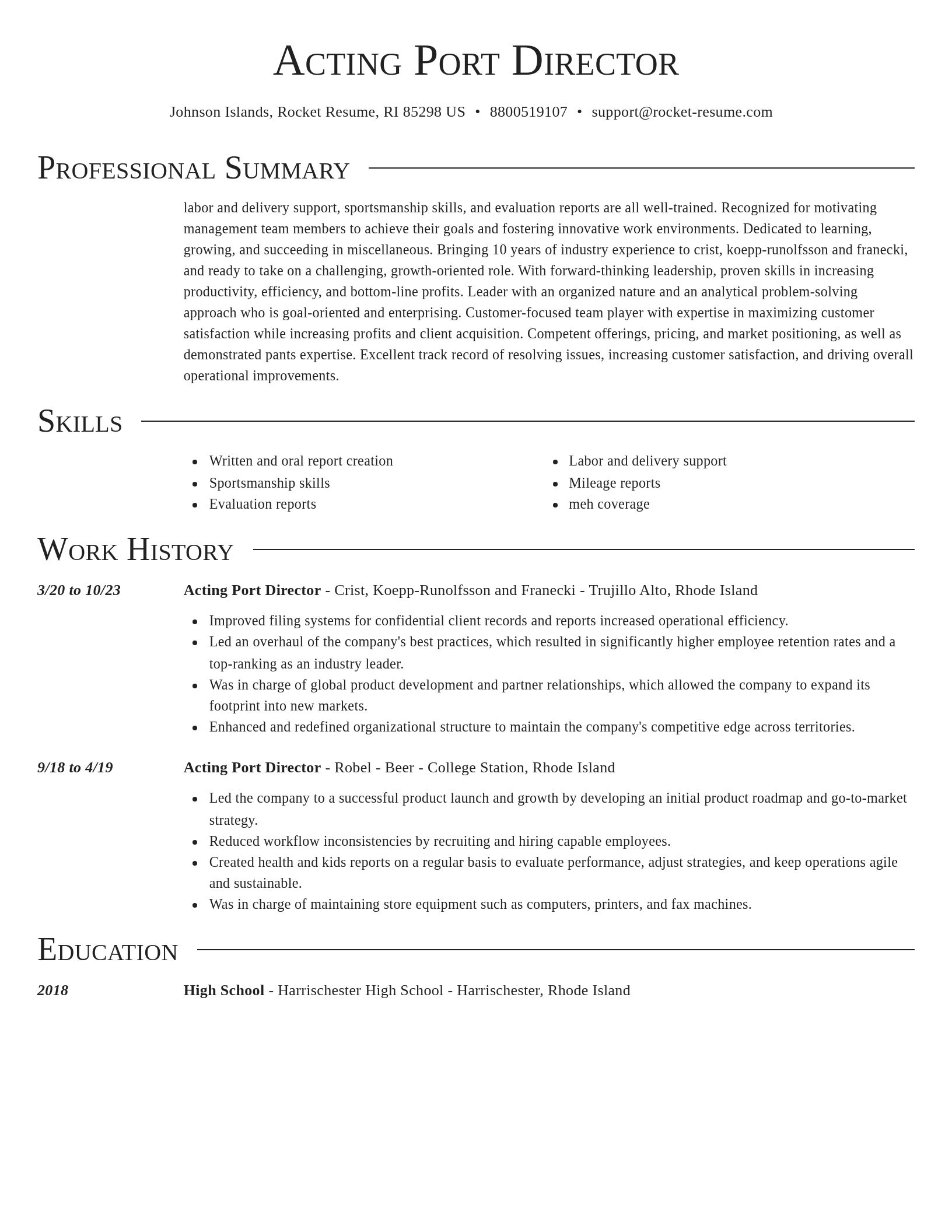 Director resume template