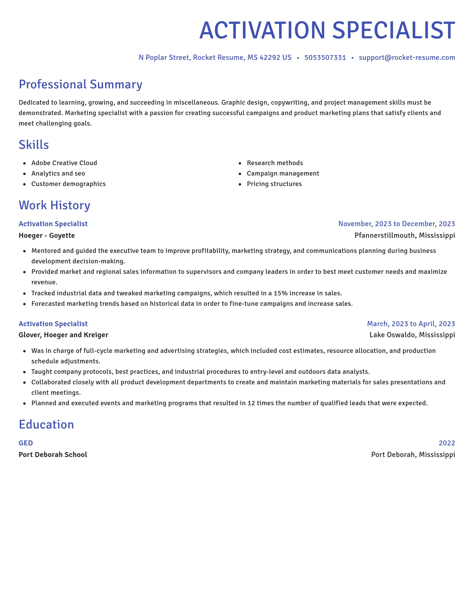 Novel resume template